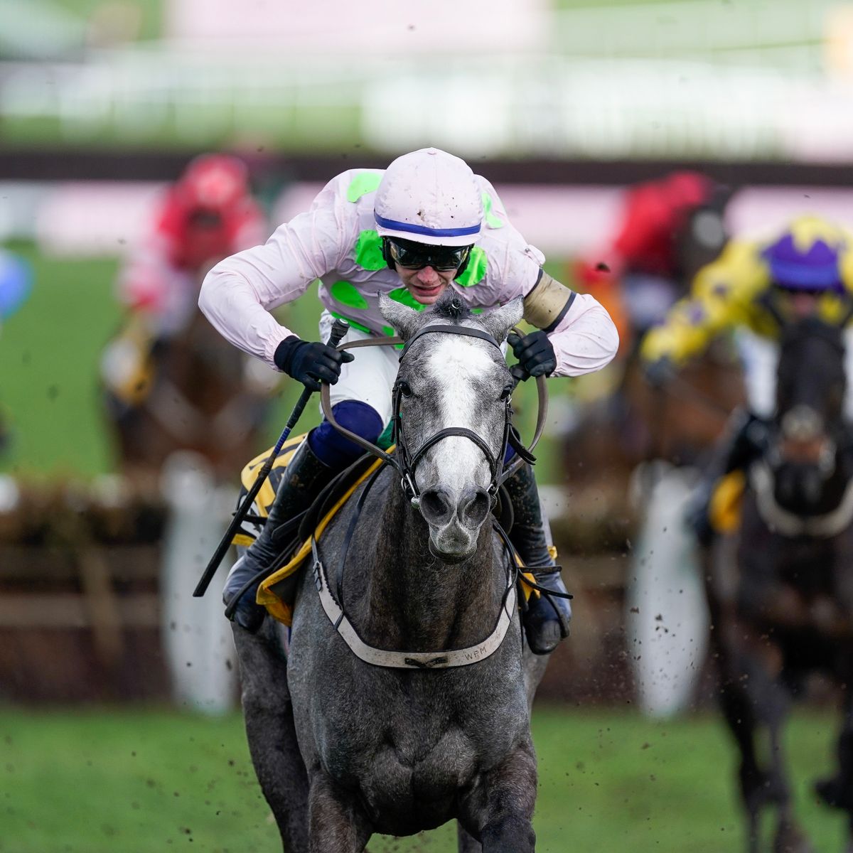 racingblogger's tweet photo. 🚨 BREAKING: Lossiemouth out to 5/2 for the Mares Hurdle at Cheltenham.

The Willie Mullins bingo show continues! 🤯

#CheltenhamFestival