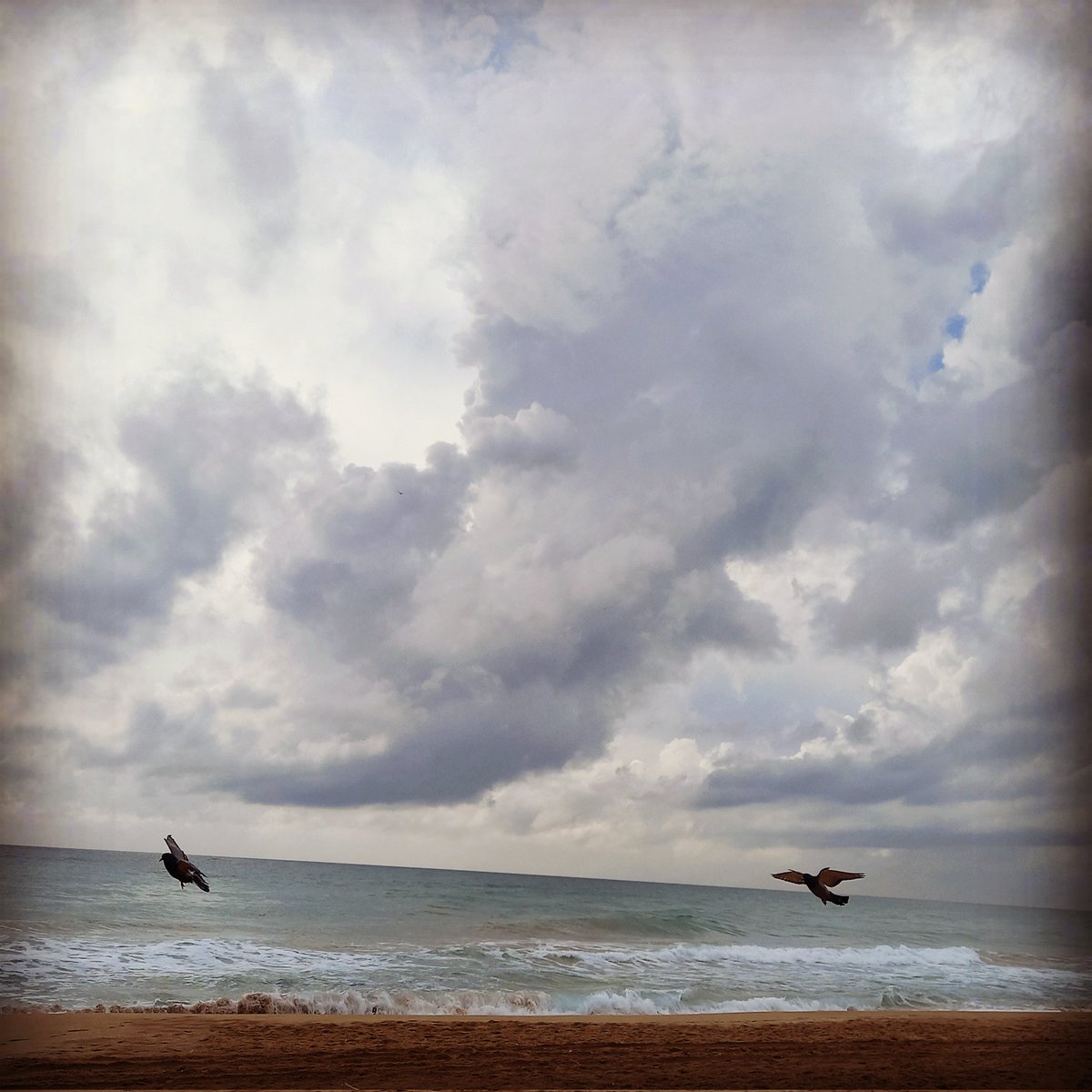 La truita, amb ceba.
El café, fort.
El pà, amb tomàquet.
La vida, amb seny i rauxa.
Les dones, sense hiyab.
Catalunya, sense wokes.
El català, respectat.

#PopetaPower
📸 #Calafell