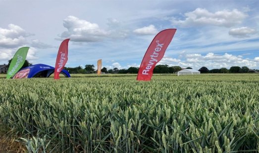 #vacature <a href="/BASF_NL/">BASF Nederland</a>: Junior Crop Manager Akkerbouw bij BASF Agro Nederland in Arnhem #agrosector #marketing #productcampagnes #communicatieplan. Zie agriholland.nl/vacaturebank/4…