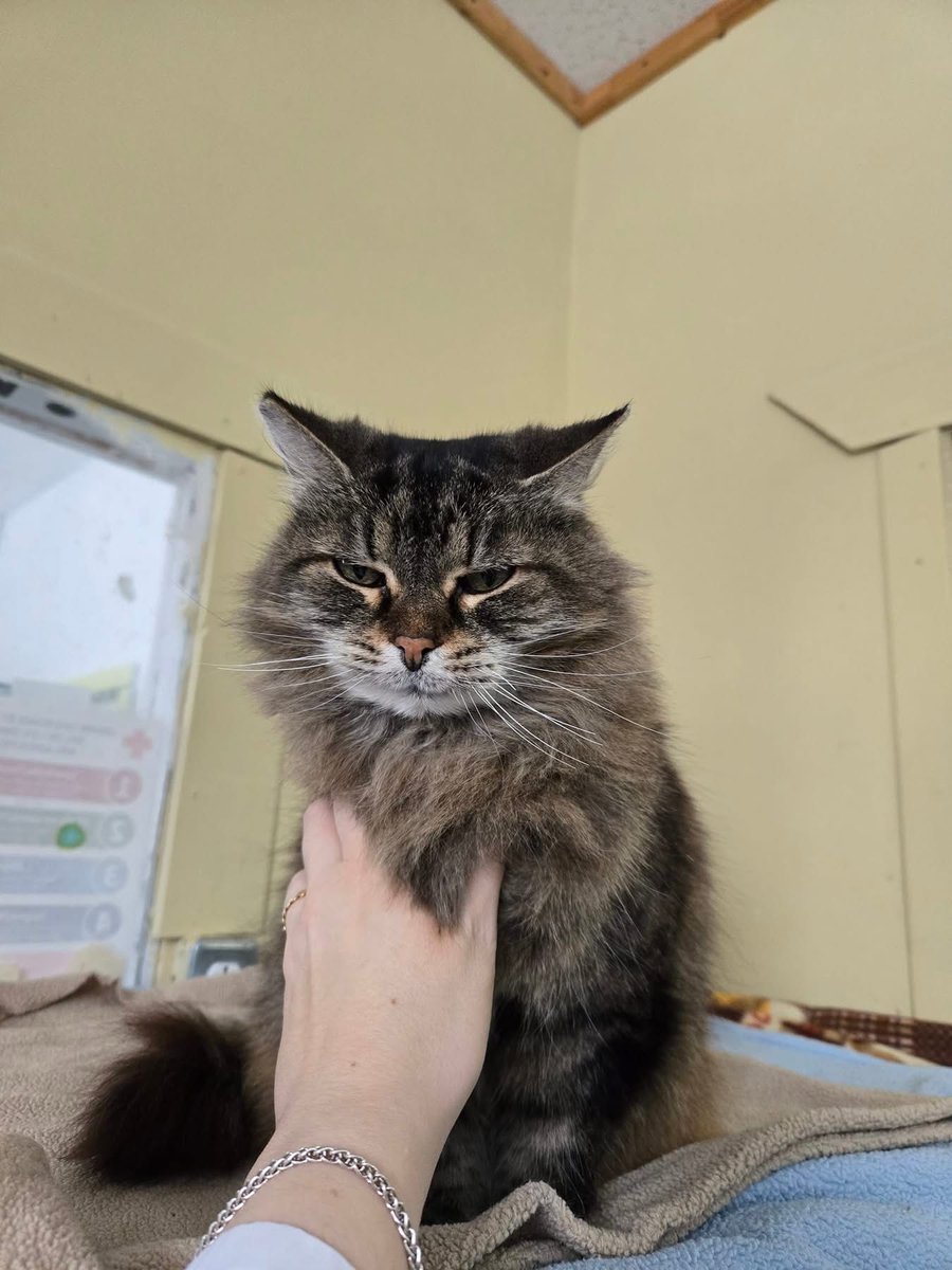 Everyone deserves to see our regal Gina today 👑