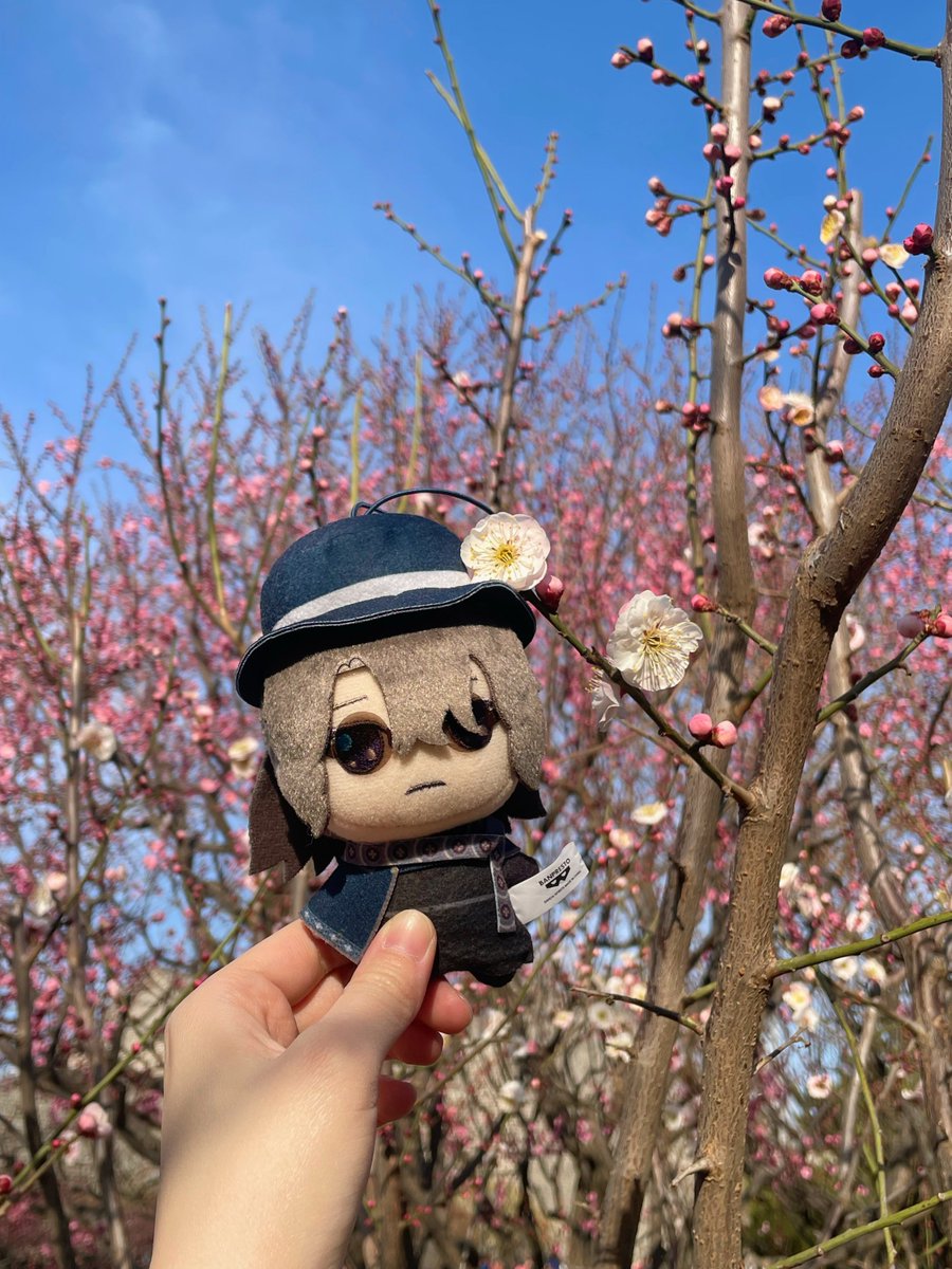 lbotrix's tweet photo. #早く暖かくなって欲しい人は黙って春の画像をあげて https://t.co/VGRLVWRDH3