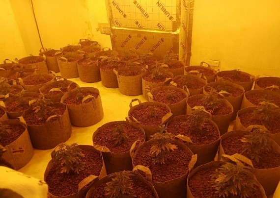 Merseyside Police tweet media