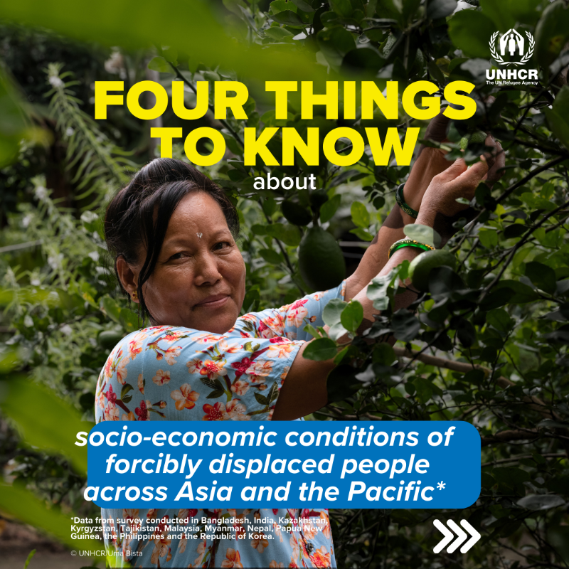 UNHCRAsia's tweet photo. Here are four things to know about the socio-economic conditions of forcibly displaced people across Asia and the Pacific! Read full report: https://t.co/b1MefmV7kY