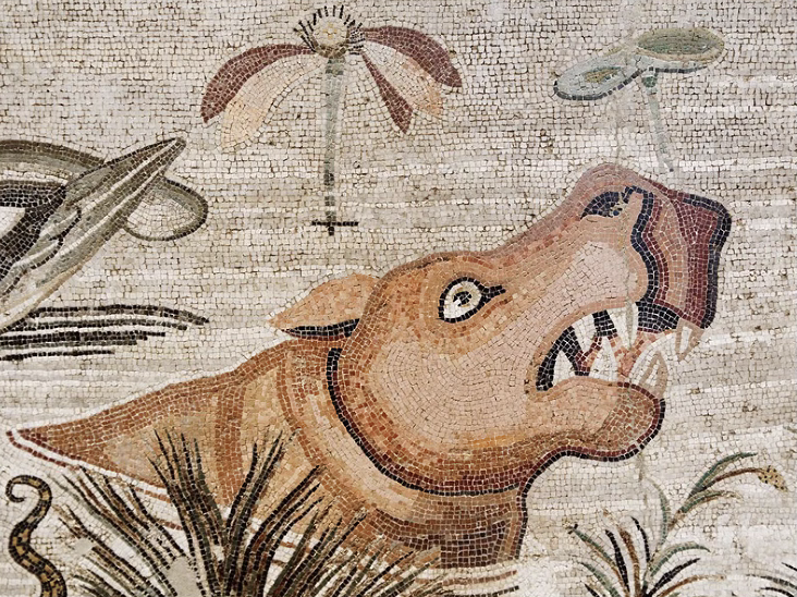 This was the best picture shown yesterday 😊 It looks as if the hippo's foot touched something weird in the water... or as if the animal stepped on Lego 🙈😅

In case you want to know more about the Palestrina mosaic:
en.wikipedia.org/wiki/Nile_mosa…

#Egypt #Egyptology #Egyptomania