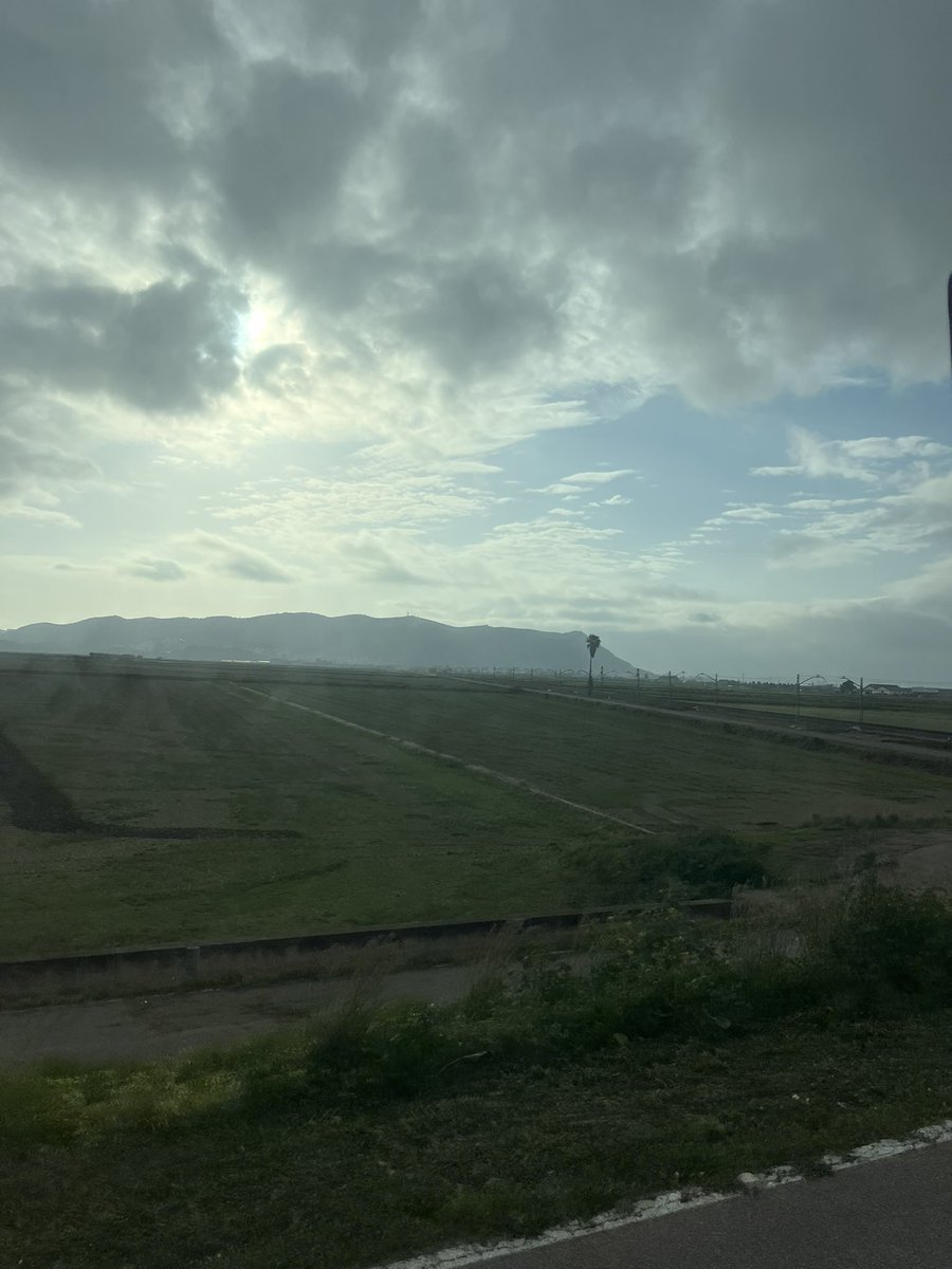 Bueno, podem començar a parlar ja, ara que s’acosten falles, de certa marca d’arròs que, defenestrant la feina dels arrossers important arròs de països tercers, vol llavar-se la cara ficant tanques per tot el cap i casal? Bon dia!