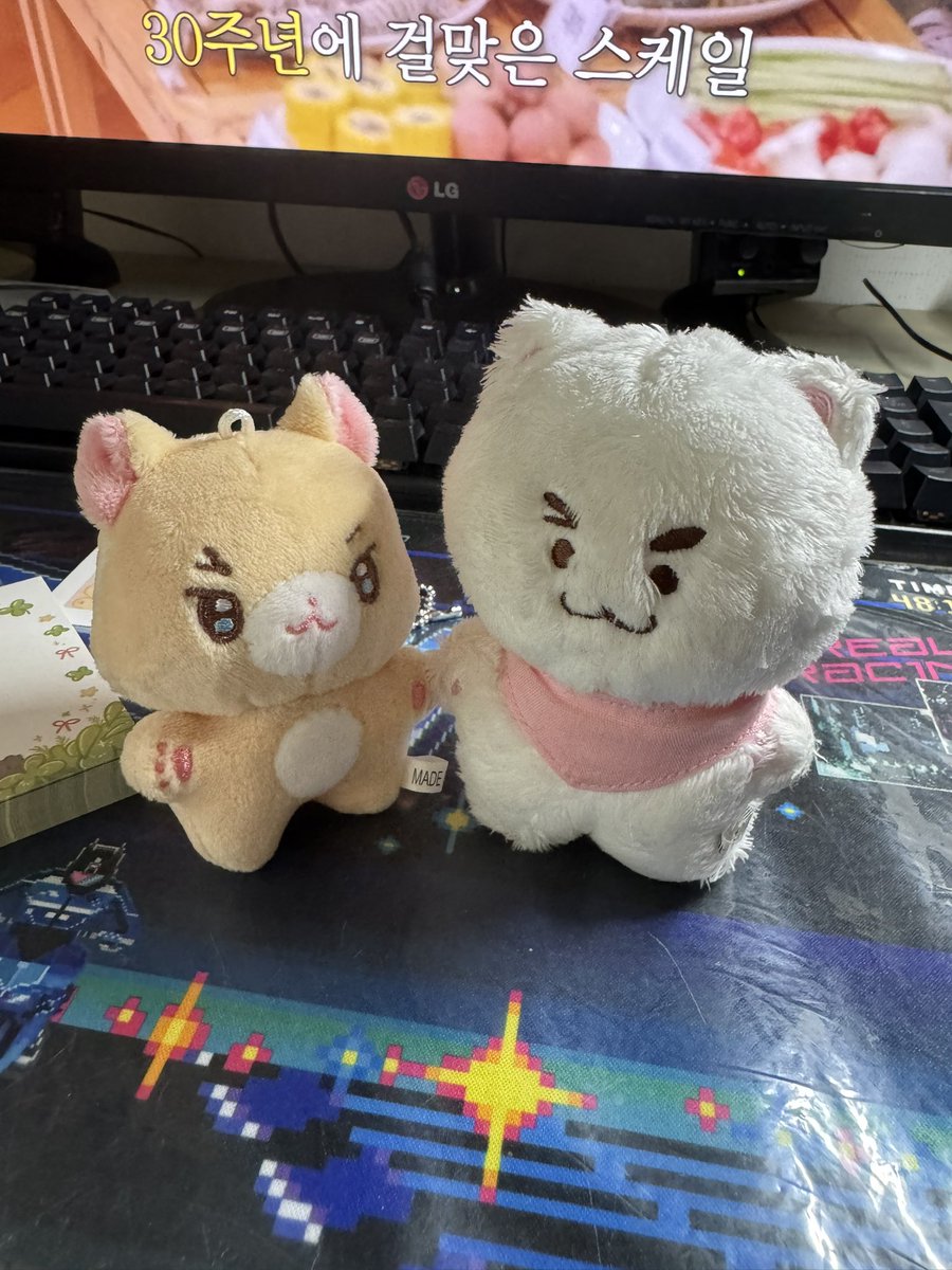 아 택배 올게 없는데 뭐가 왔나 했더니 기뵤인형 왔어😍😍 
키냥이보다 더 작아 어떡해 나란히 두니까 너무너무 커엽잖아