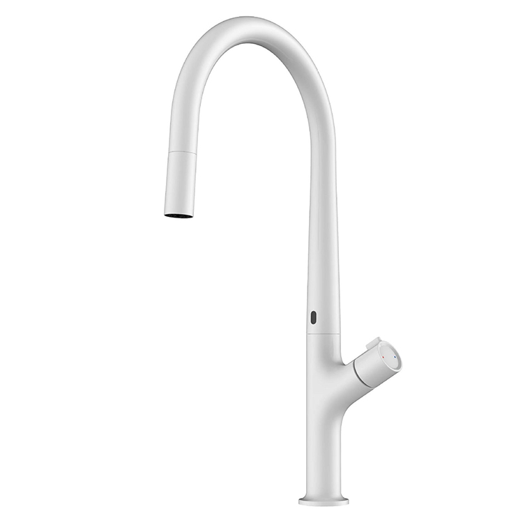Kitchen Sink Faucet with Sensor