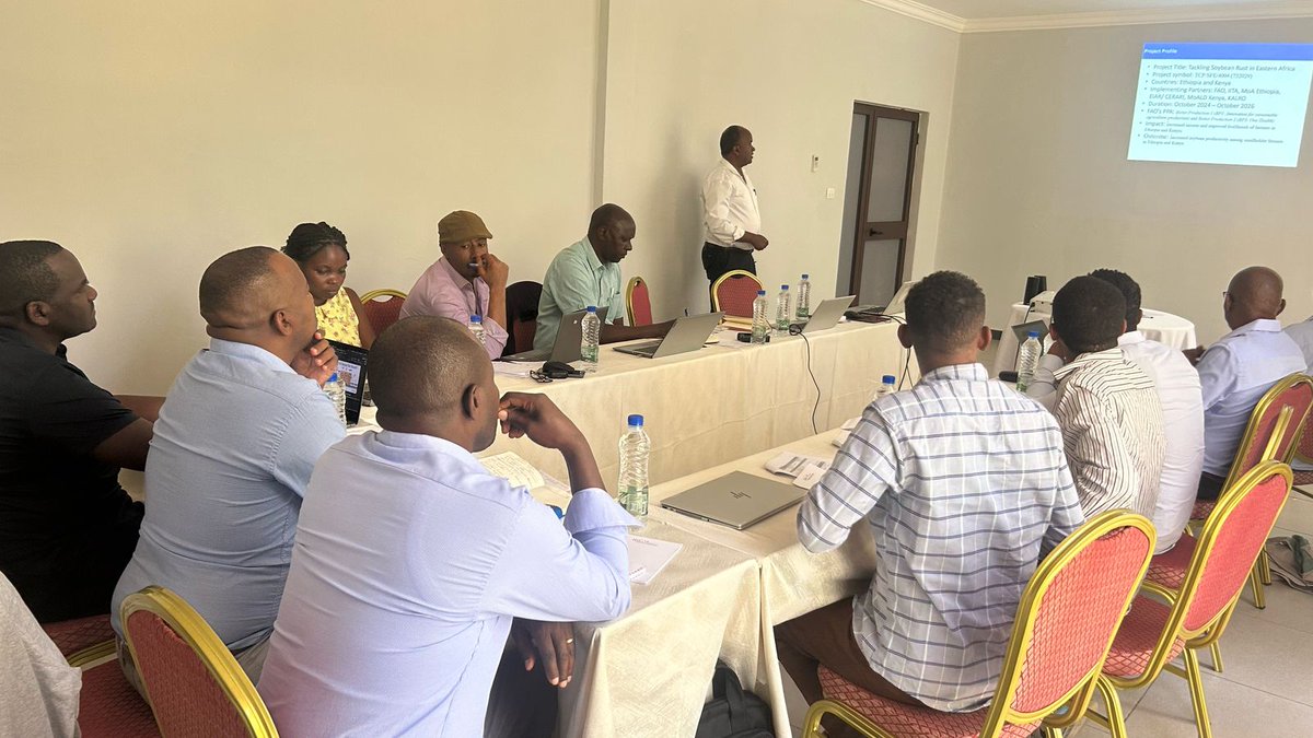 FAO Eastern Africa (@faoeastafrica) on Twitter photo Launching a 2-year project, <a href="/FAO/">Food and Agriculture Organization</a>, <a href="/MoA_Ethiopia/">Ministry of Agriculture Ethiopia</a> & Ministry of Agri. of #Kenya (<a href="/kilimoKE/">Ministry of Agriculture & Livestock Development</a>) are poised to tackle #Soybean Rust in the two nations through the dev't of capacities & early warning systems, employing Integrated Pest Management (#IPM) approach.
#4Betters Launching a 2-year project, <a href="/FAO/">Food and Agriculture Organization</a>, <a href="/MoA_Ethiopia/">Ministry of Agriculture Ethiopia</a> & Ministry of Agri. of #Kenya (<a href="/kilimoKE/">Ministry of Agriculture & Livestock Development</a>) are poised to tackle #Soybean Rust in the two nations through the dev't of capacities & early warning systems, employing Integrated Pest Management (#IPM) approach.
#4Betters