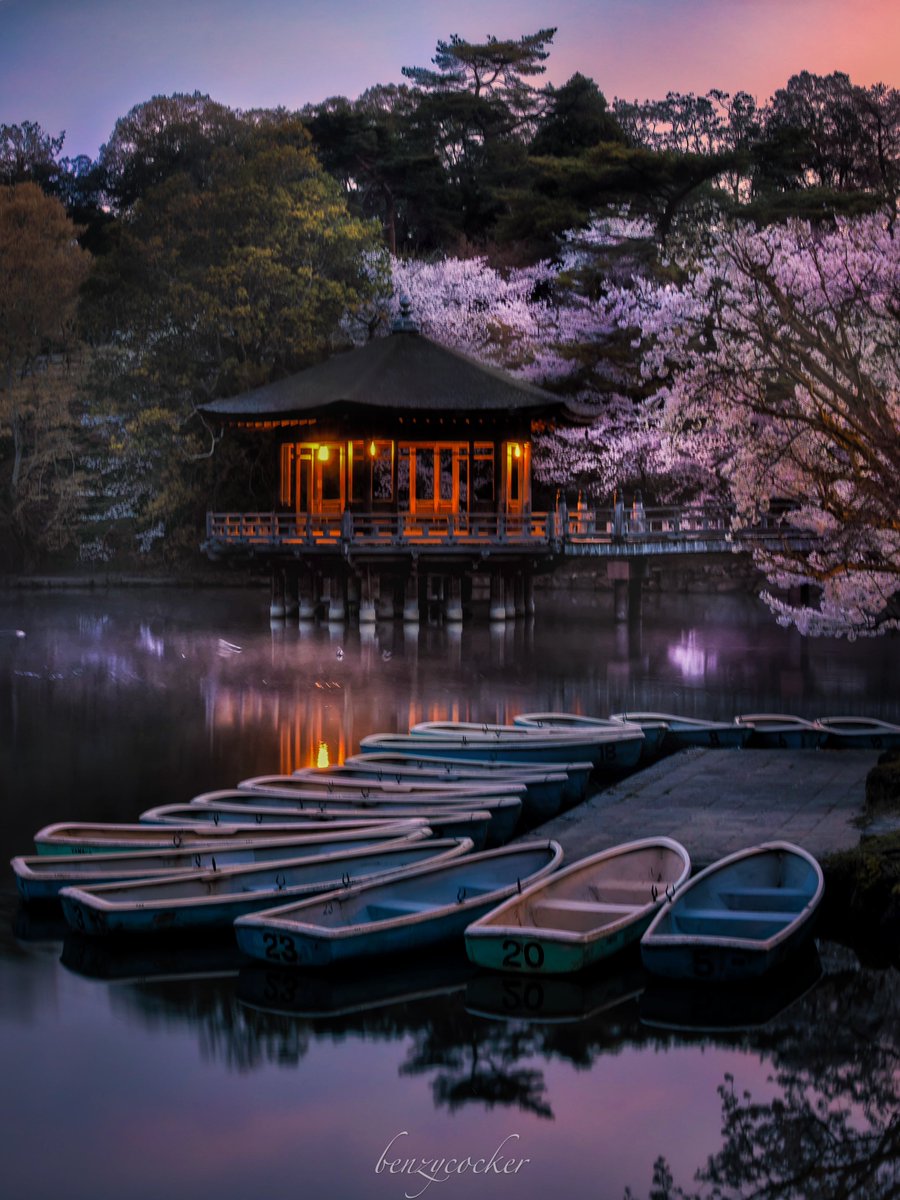 夜明けの奈良浮見堂が美しかった。