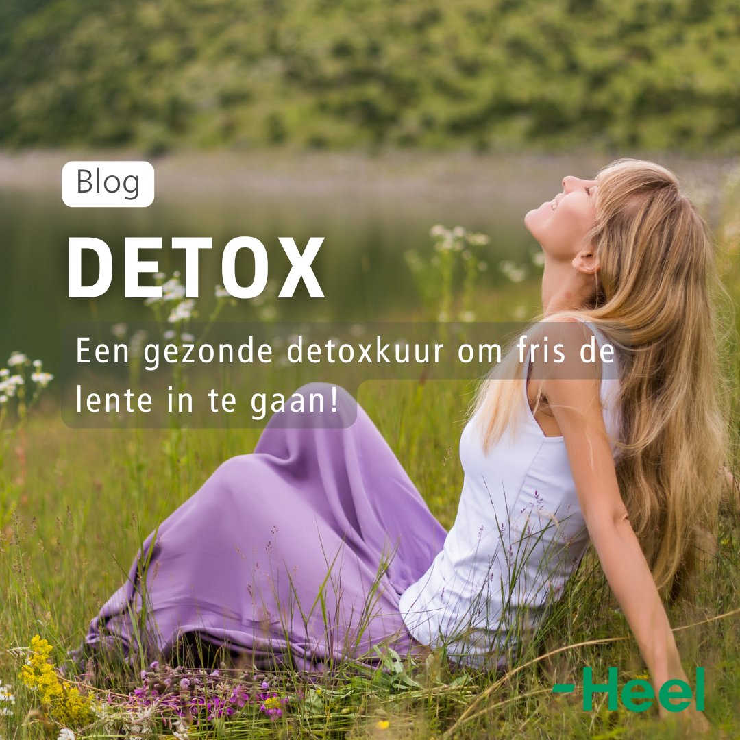 De lente is het perfecte moment voor een frisse start! 🌱✨ Wil jij je fitter voelen na de winter? Lees onze blog voor al onze praktische tips en inzichten! 

👉 blog.heel.be/gezonde-detoxk…

#Detox #Detoxkuur #GezondeDetox #Gezondheid #Lente