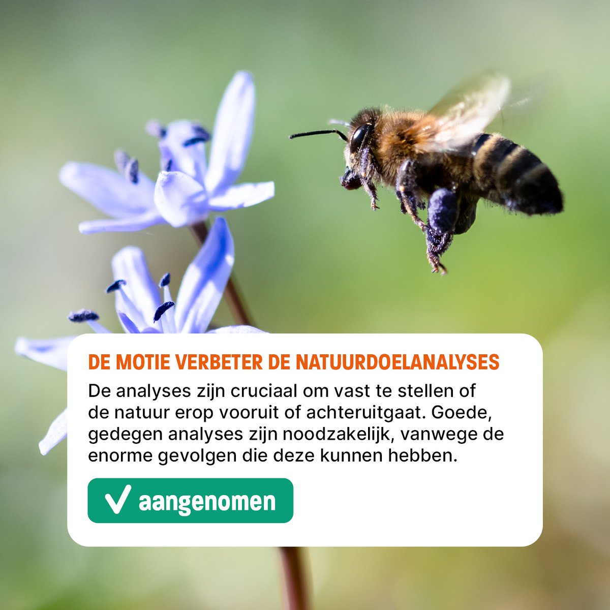 SGP Zuid-Holland tweet media