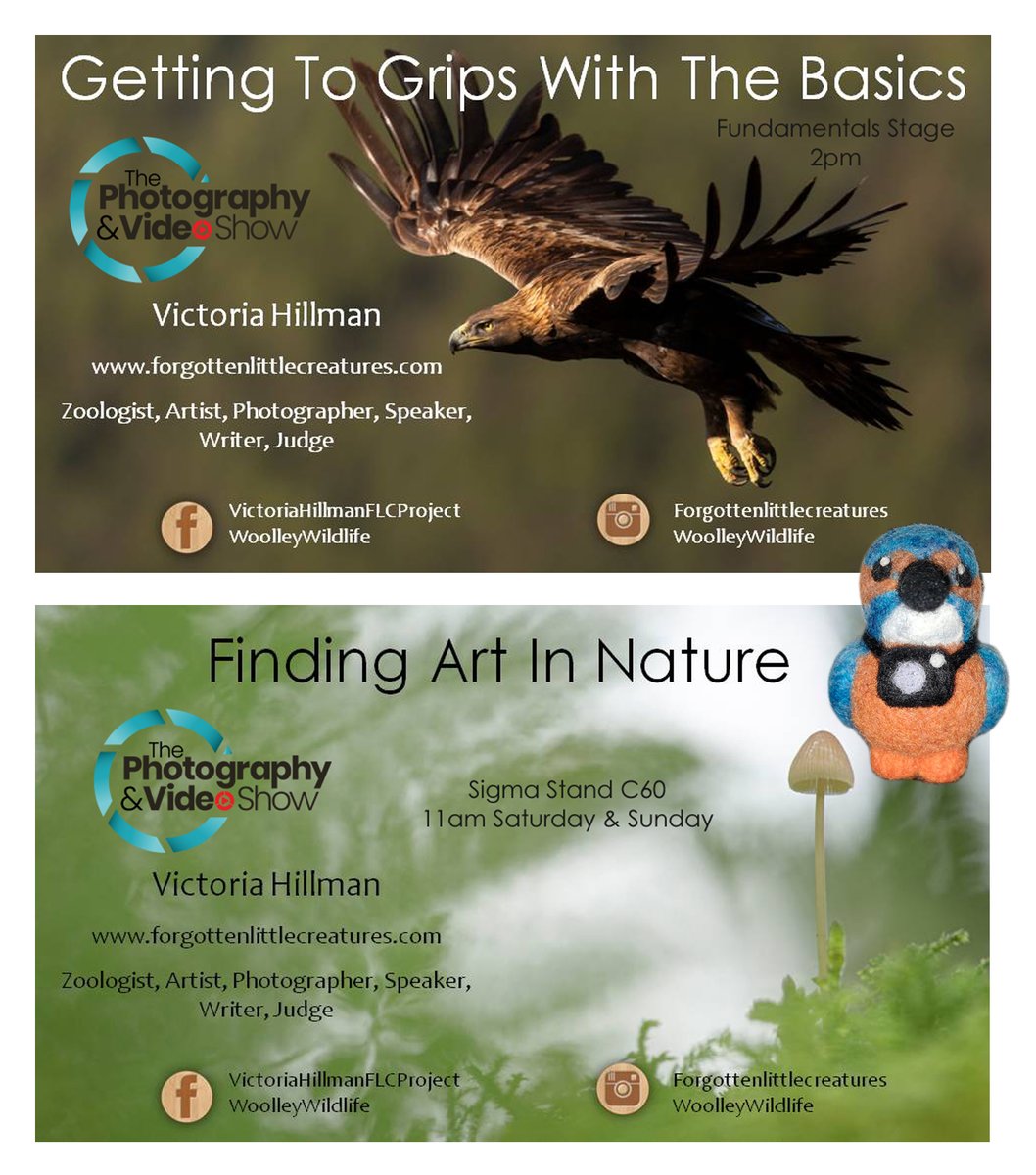 Victoria Hillman (Woolley Wildlife) tweet media