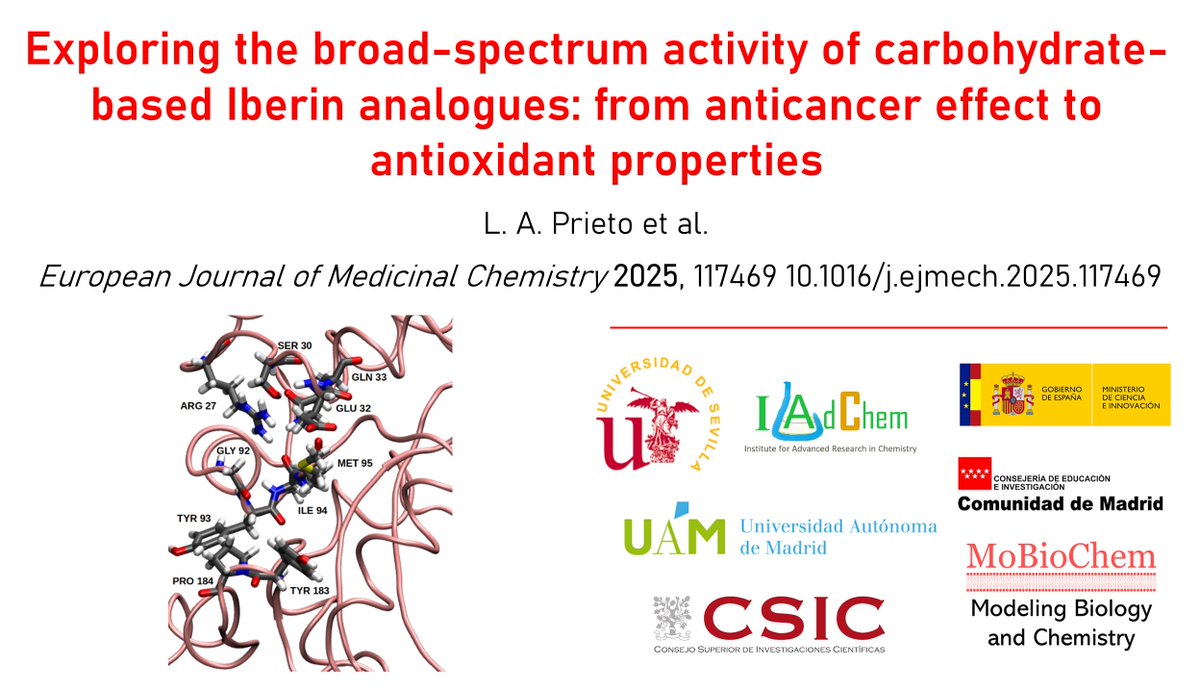 Experiments meet theory to explore anticancer and antioxidant properties 🤓👩‍🔬🧬💻

#compchem by <a href="/JesusLQF/">Jesus Lucia</a>

<a href="/IAdChem/">IAdChem</a> <a href="/UAM_Madrid/">UAM Autónoma Madrid</a> <a href="/unisevilla/">Universidad de Sevilla</a>
#MoBioChem 

🔗 doi.org/10.1016/j.ejme…
