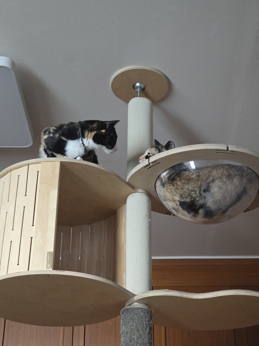 언제나 함께야
동반입양 최고...!