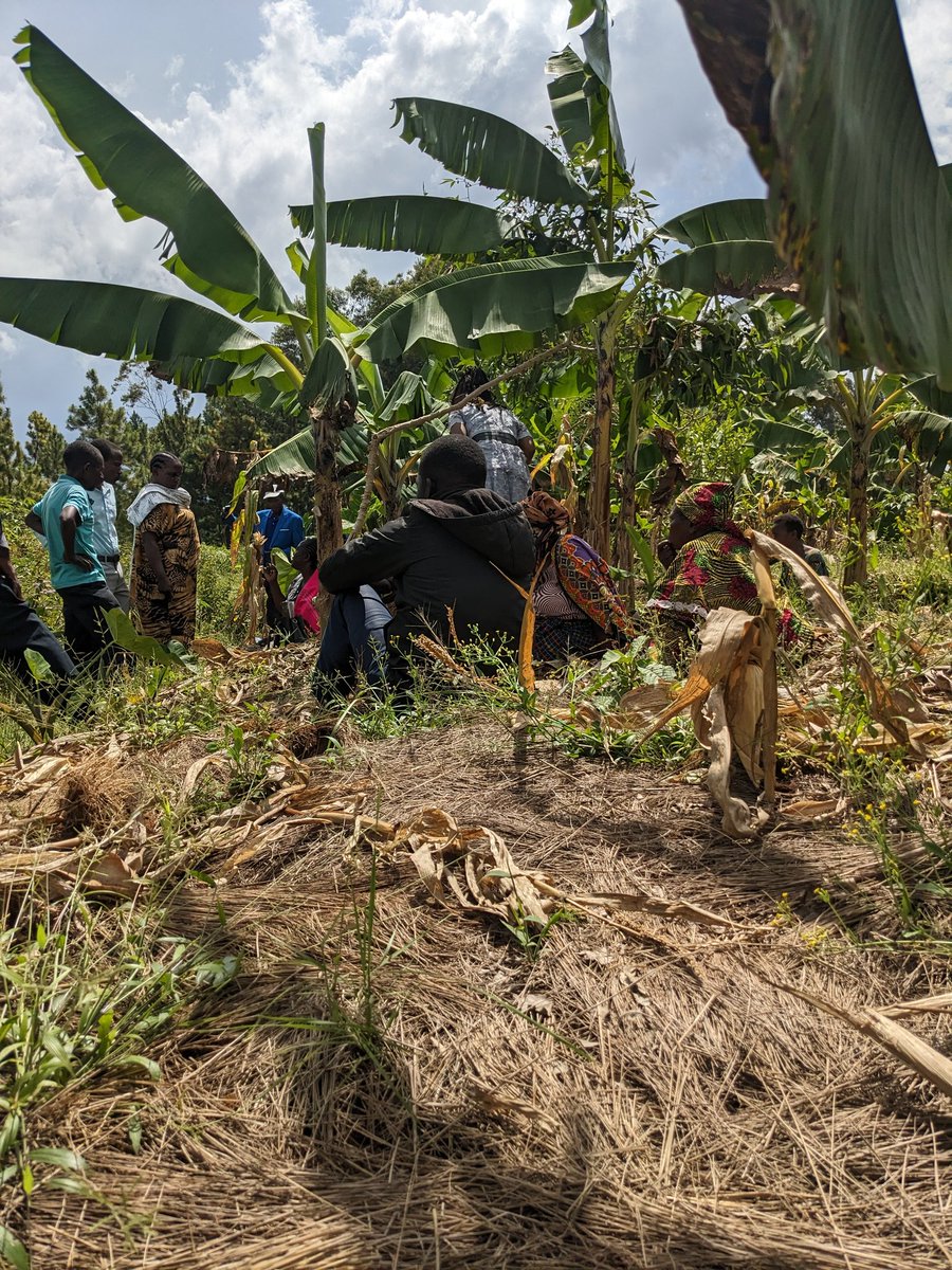 <a href="/MsLACampaign/">MSLegalAidCampaign</a> <a href="/SuluhuSamia/">Samia Suluhu</a> <a href="/NCHIYANGUT/">Nchi yangu kwanza</a> <a href="/ikulumawasliano/">ikulu_Tanzania</a> <a href="/SimbaSCTanzania/">Simba Sports Club</a> <a href="/TZMsemajiMkuu/">Msemaji Mkuu wa Serikali</a> <a href="/matokeochanya/">Matokeo ChanyA+</a> Utoaji wa msaada wa kisheria ukiwa unaendelea kutolewa mtaa wa kyasha  kata ya Buhembe, Manispaa ya Bukoba, Mkoa wa kagera.
#sisinitanzania #matokeochanya #katibanasheria #MSLAC #SSH #kaziiendelee