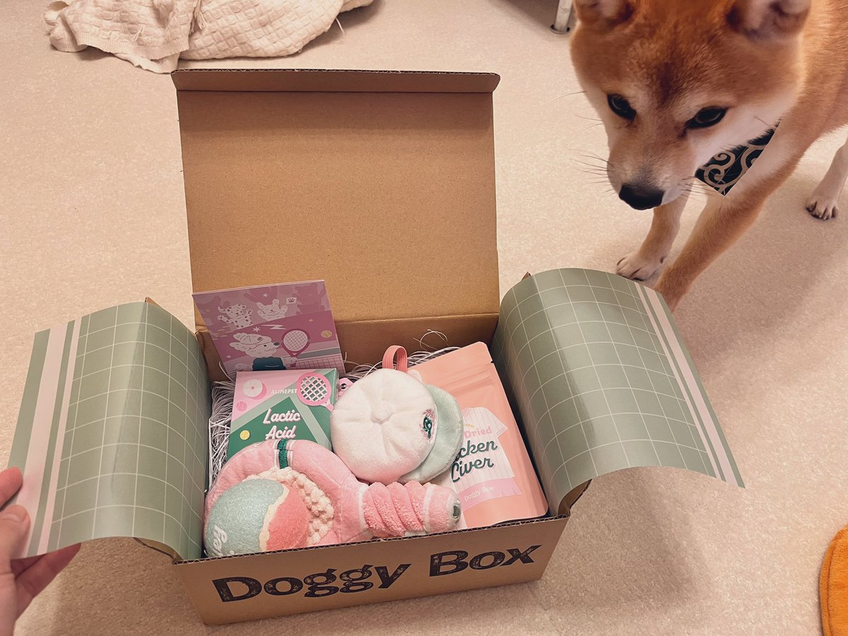 新品】doggybox ドギーボックス犬のおもちゃ60個セット