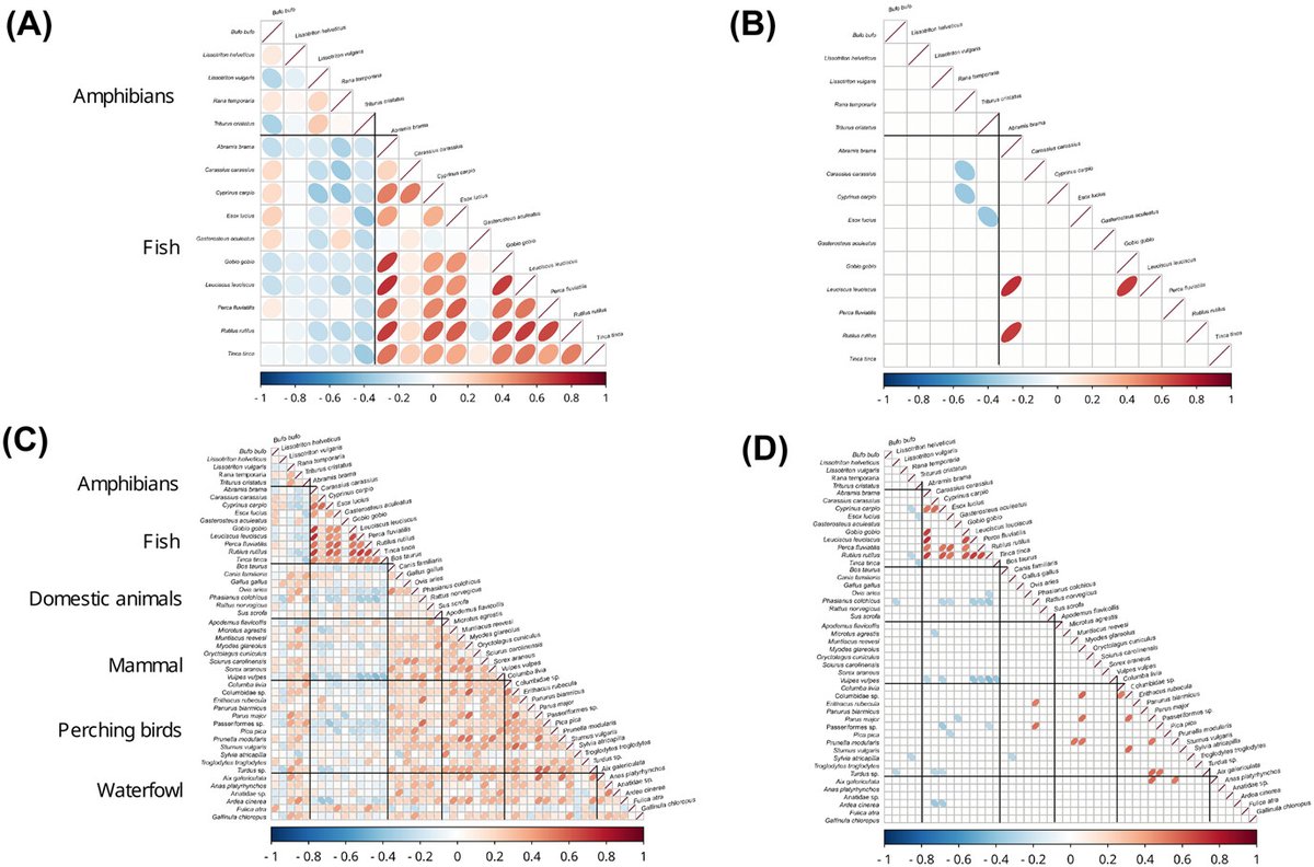 Ecography (@ecographyjourna) on Twitter photo Assembly processes inferred from eDNA surveys of a pond metacommunity are consistent with known species ecologies nsojournals.onlinelibrary.wiley.com/doi/10.1111/ec… #jSDM #eDNA #metabarcoding @ecography.bsky.social <a href="/NordicOikos/">Nordic Society Oikos</a> <a href="/WileyEcolEvol/">Wiley Ecology & Evolution</a> Assembly processes inferred from eDNA surveys of a pond metacommunity are consistent with known species ecologies nsojournals.onlinelibrary.wiley.com/doi/10.1111/ec… #jSDM #eDNA #metabarcoding @ecography.bsky.social <a href="/NordicOikos/">Nordic Society Oikos</a> <a href="/WileyEcolEvol/">Wiley Ecology & Evolution</a>