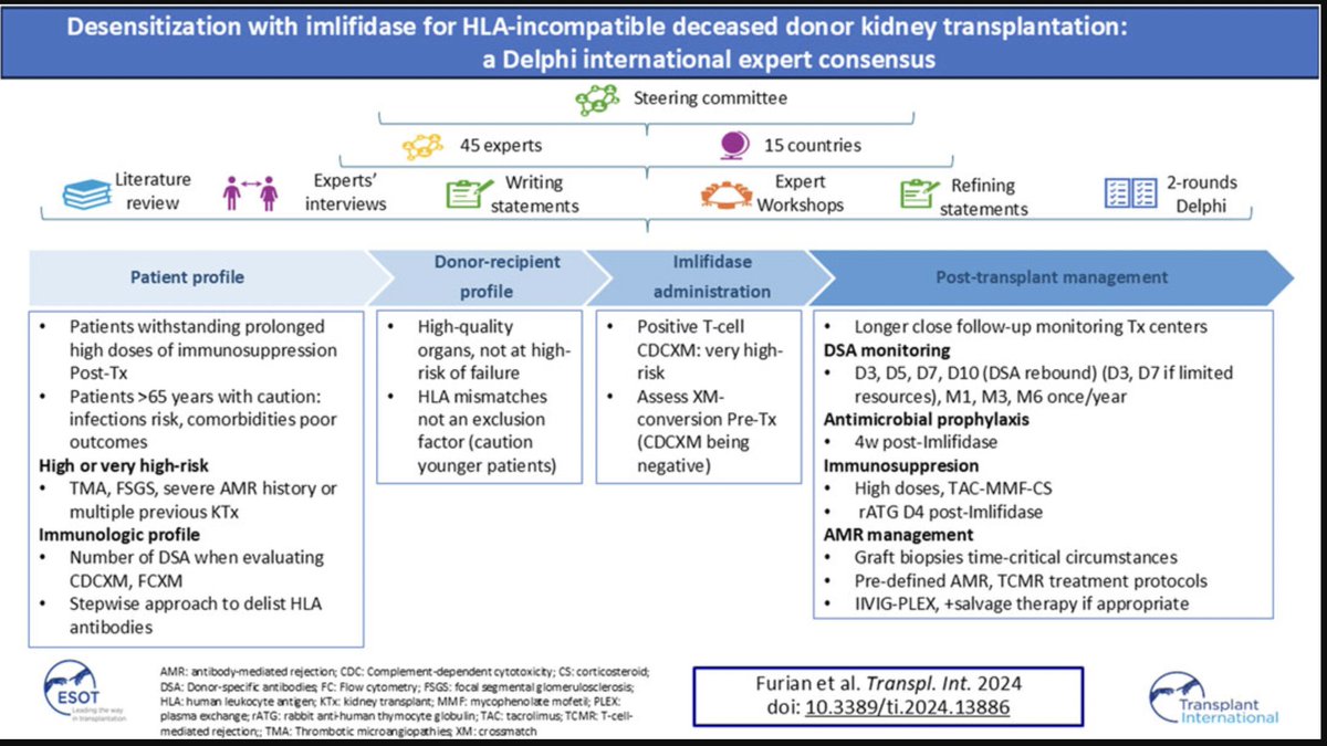 Transplant International (@transpl_int) on Twitter photo 📢 Join our next <a href="/Transplant/">transplant</a> International Journal Club!
We’ll dive into a Delphi consensus on imlifidase for HLA-incompatible kidney transplantation in highly sensitized patients. 🏥💉 #Transplantation #KidneyTransplant (1/6)
Register here: go.esot.org/ti_jc17march 📢 Join our next <a href="/Transplant/">transplant</a> International Journal Club!
We’ll dive into a Delphi consensus on imlifidase for HLA-incompatible kidney transplantation in highly sensitized patients. 🏥💉 #Transplantation #KidneyTransplant (1/6)
Register here: go.esot.org/ti_jc17march