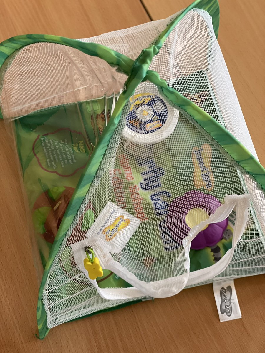 Sarah_Mira_'s tweet photo. Group 4 have created a butterfly garden with caterpillars, we are super excited about watching the miracle of metamorphosis! We will keep you updated 😅🐛🦋 @EthosCollegeUK https://t.co/td9vSMfZ99