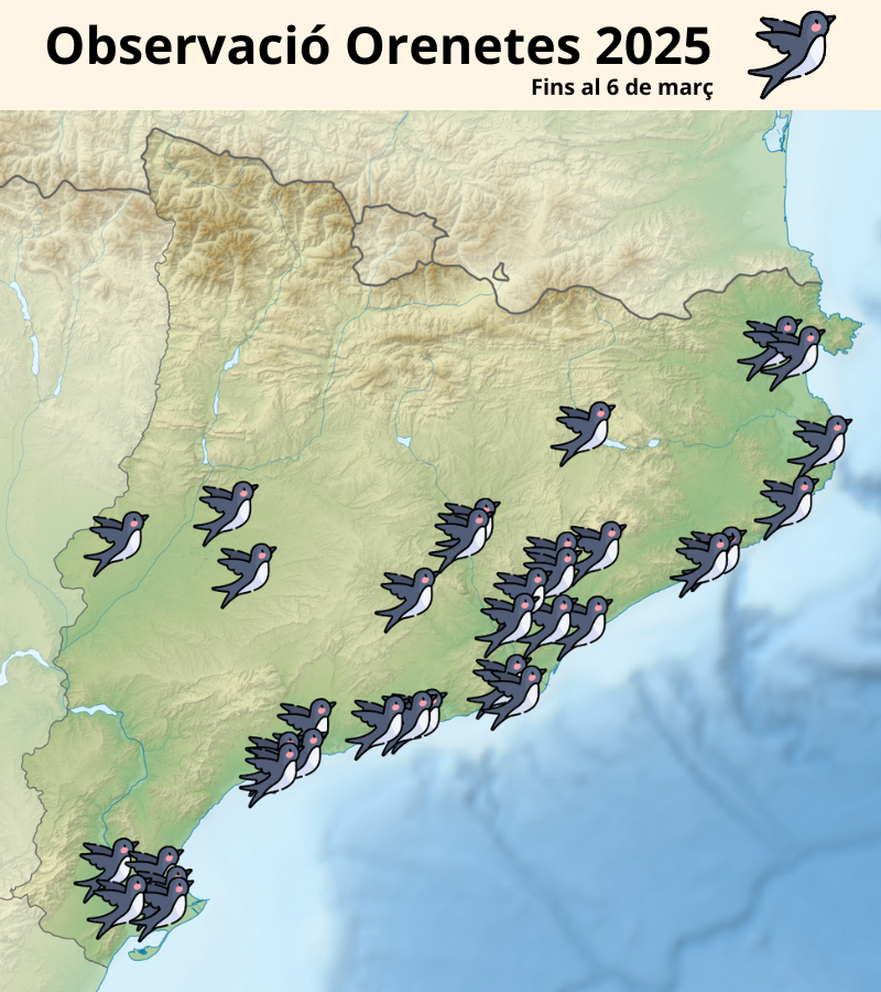 CREAF_ecologia's tweet photo. Ja ha arribat el moment més esperat de l'any: HAN TORNAT LES ORENETES!!!! 🕊️😍 Des de fa algunes setmanes s'han deixat veure per diversos punts de #Catalunya i amb @RitmeNatura ho hem situat al mapa 🗺️💚 Mireu, a més, la comparativa amb l'any passat 🤔👇 https://t.co/MTiDDRchIw