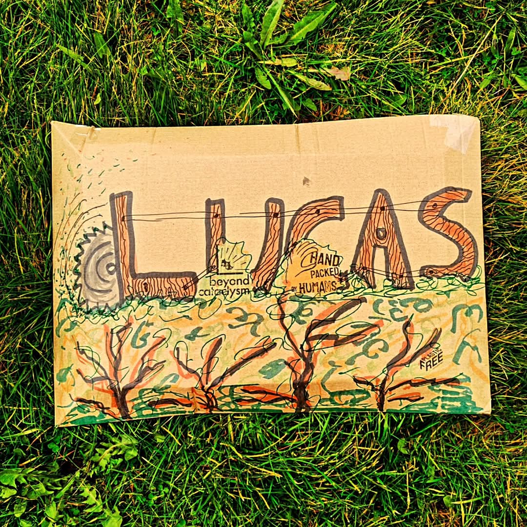 SOLO BORG available from pre-order now tweet media