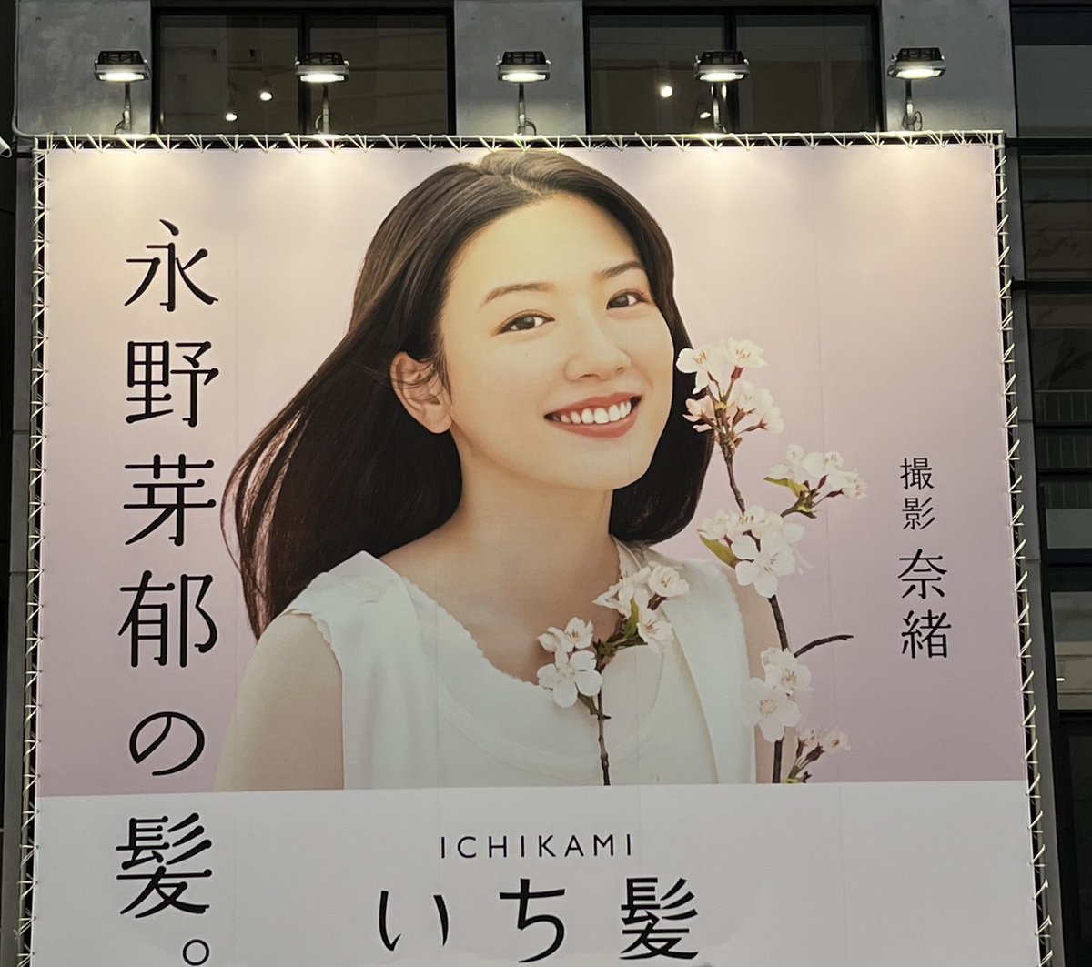 katsubo420's tweet photo. 昨日渋谷に用事があり #永野芽郁 さんと #奈緒 さん発見✨
2人とも撮影プロカメラマンみたい📷✨🌸🌻
#いち髪
#ICHIKAMI https://t.co/lPHsGEfHHW