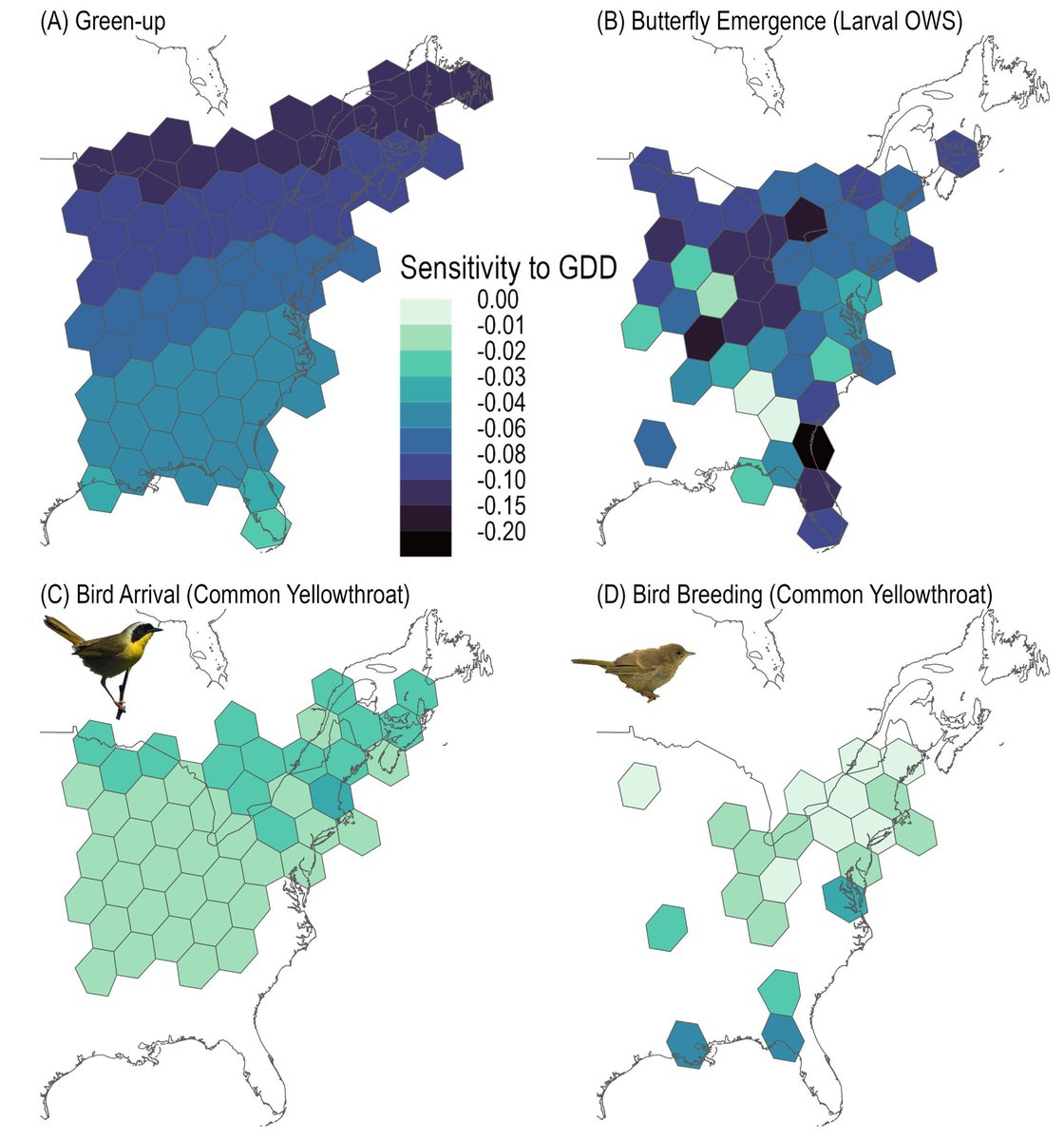 Journal of Animal Ecology (@animalecology) on Twitter photo New research on potential for bird–insect phenological mismatch in a tri-trophic system 🐦 🪰
buff.ly/rBa7mOE
<a href="/MikesMothModels/">Michael Belitz</a> New research on potential for bird–insect phenological mismatch in a tri-trophic system 🐦 🪰
buff.ly/rBa7mOE
<a href="/MikesMothModels/">Michael Belitz</a>