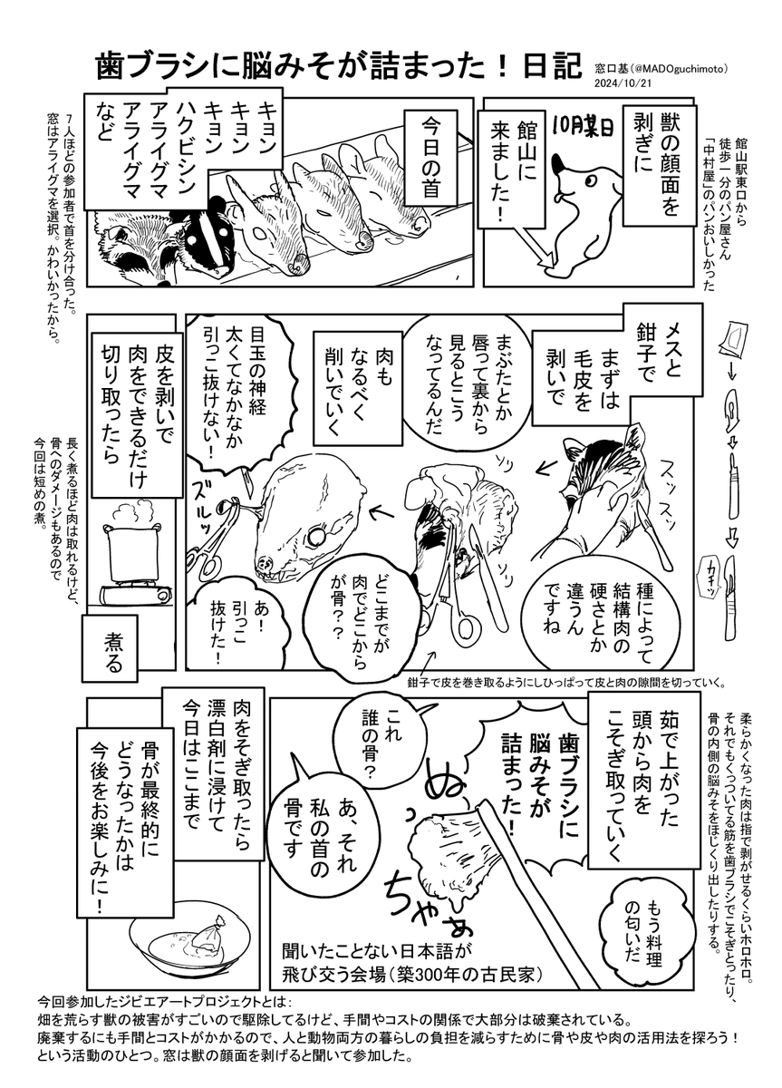 このときの骨です! 