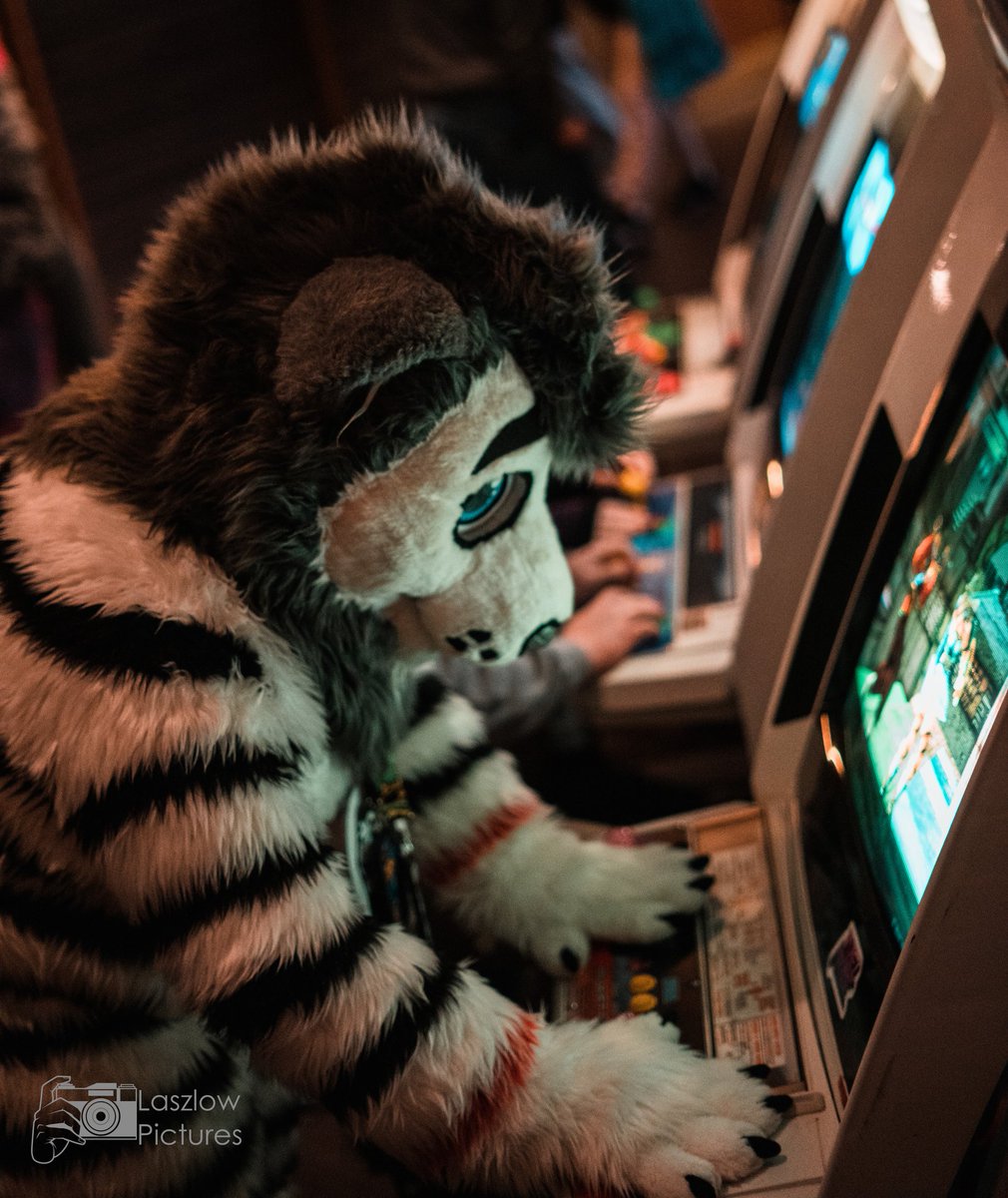 Game Over. 😾 Next time, Next time. 😼

📷:furtrack.com/user/Laszlow.P…

🪡: <a href="/CeeGeeFursuit/">Stracia 🐾</a>: WhiteLion 

Happy #FursuitFriday 😄 for everyone. 🥰