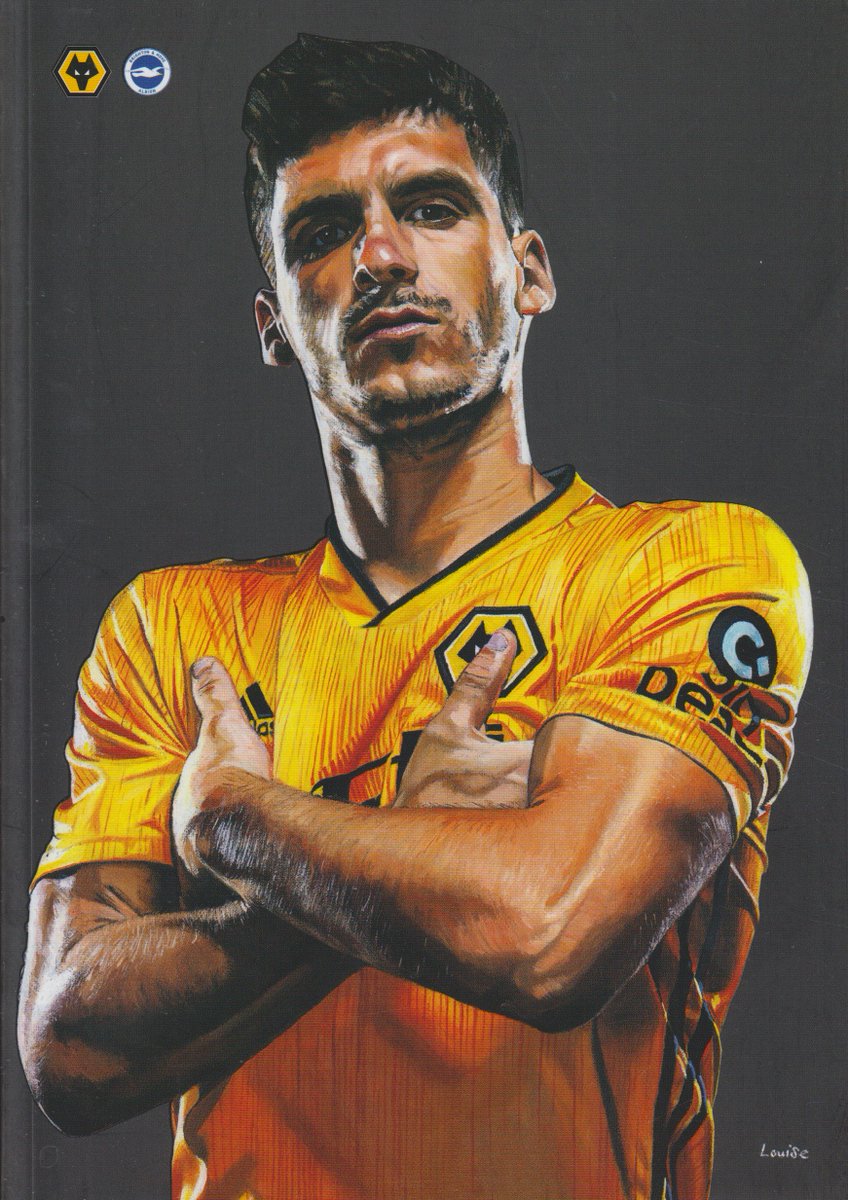 Seagulls Programmes tweet media