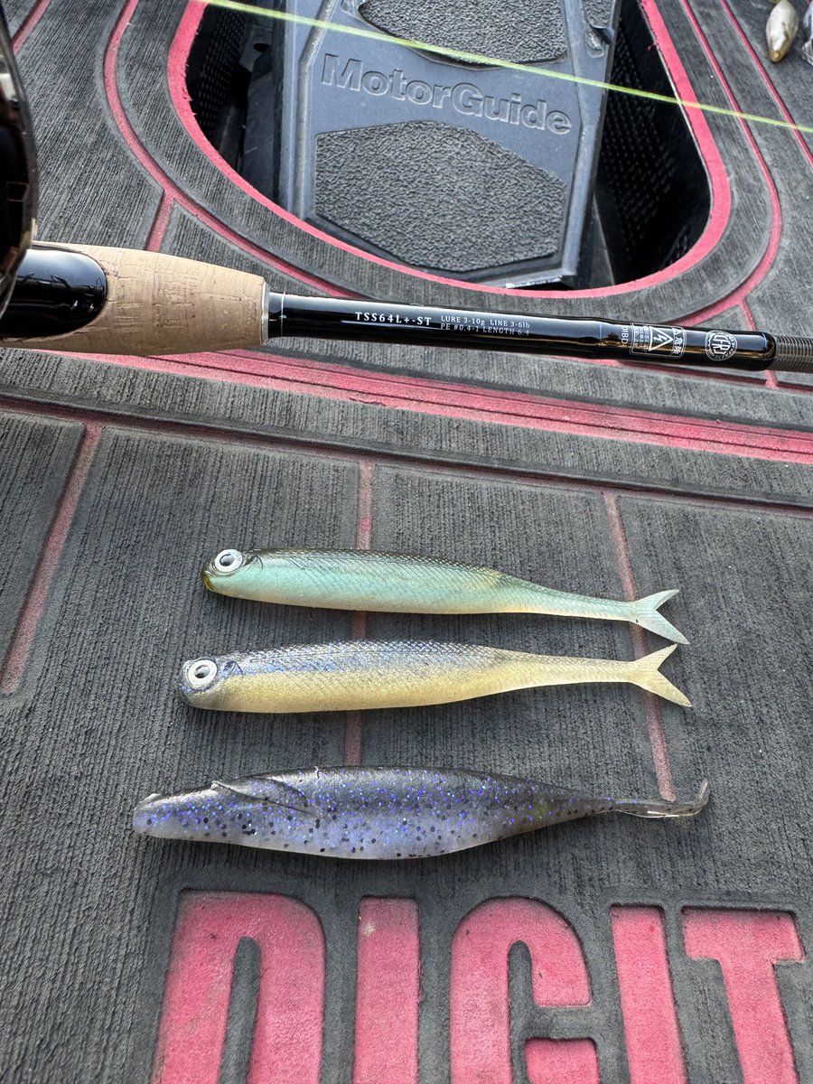 HayanoGuideS's tweet photo. 2月末のデビル会に所用で参加出来なかったので、久しぶりに豊英ダムへ🎣

パワーミドストメインに56センチ頭に50アップ✖️3で、フィニッシュ🎣

PMは、モンスターサイズのみに絞ってミドストや色々ストストしてみましたが惨敗😅

気持ち良い募金をして帰宅出来ました😊

▪︎ヒットルアー　ヴィローラ5、サカマタ5
▪︎TSS64L+-ST
▪︎ツインパワー2500HGS
▪︎PE EGI ULT HS4 0.6号　Vハード1.75号