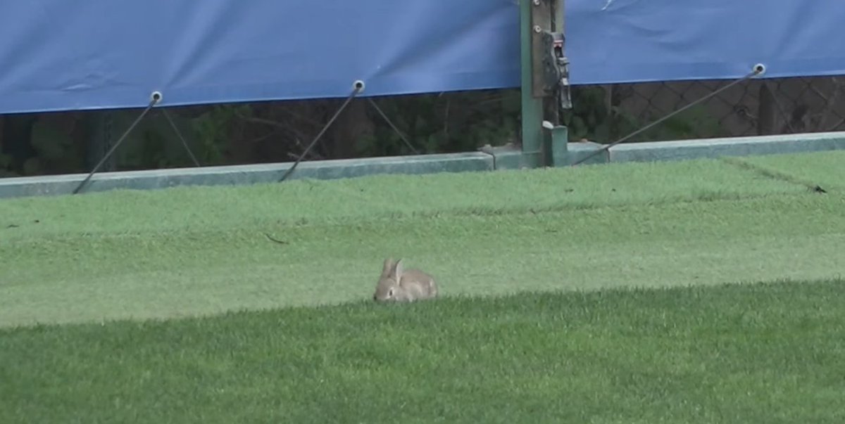 FCB World tweet media