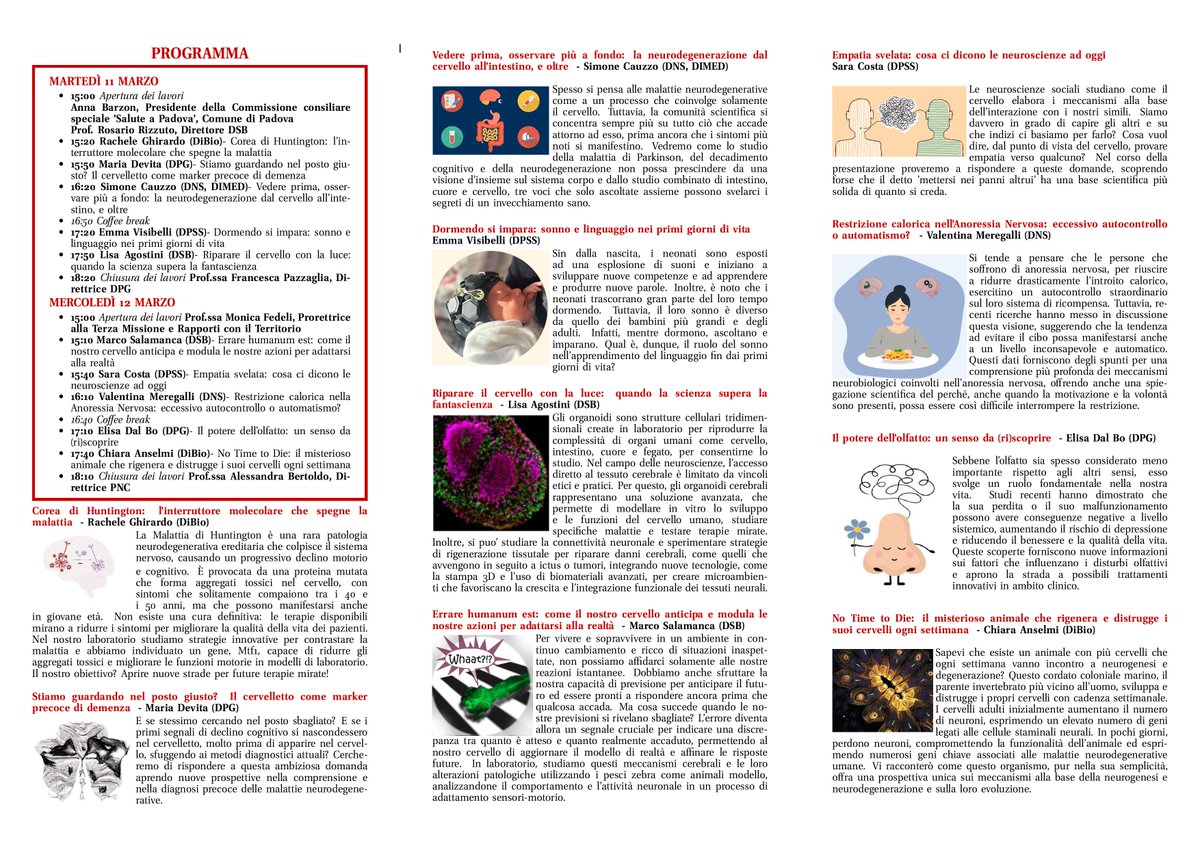 Padova Neuroscience Center (@pnc_unipd) on Twitter photo Longing for more talks on #neuroscience?
Check the program <a href="/UniPadova/">Università di Padova</a> for the #Brain #Awareness Week 2025!⬇️ Longing for more talks on #neuroscience?
Check the program <a href="/UniPadova/">Università di Padova</a> for the #Brain #Awareness Week 2025!⬇️
