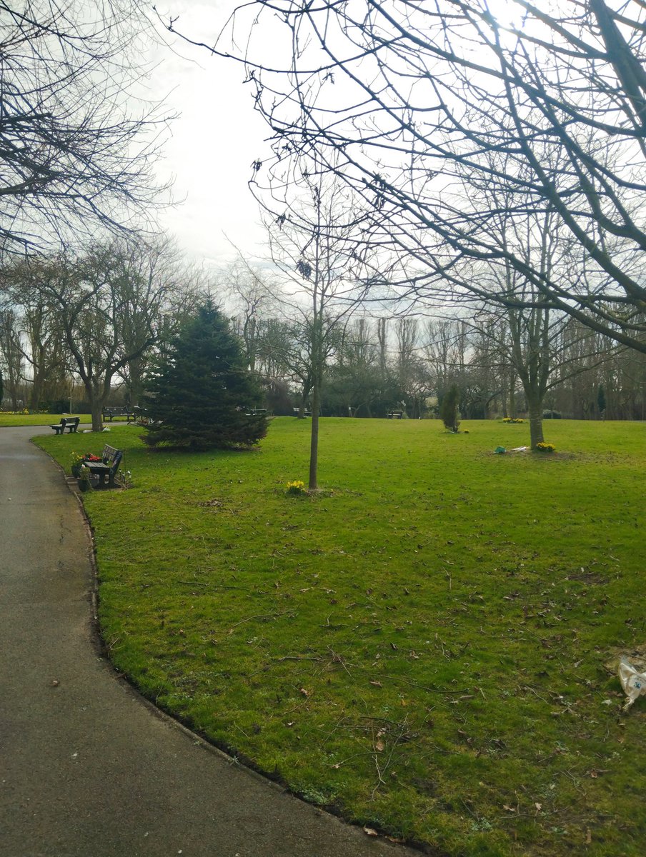 LifeFilmsUK's tweet image. The sun is shining, so I&apos;m out for a morning walk. Thought I&apos;d take a photo to capture the moment. #photo #writerslife #outforawalk #sunisshining #creativevision