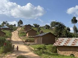 betordc's tweet photo. #RDC Lubero: Le M23 se retire des trois villages dont Kasugho
Les éléments du Mouvement du 23 mars se sont retirés, depuis le matin de vendredi le 7 Mars, de trois villages du territoire de Lubero notamment Kasugho, Katoyo et Kagheri qui sont situés à plus au-moins 45 kilometres à l'Ouest de Lubero centre.
Cela, après d'intenses affrontements qui ont opposés les Forces Armées de la République Démocratique du Congo (FARDC) appuyés par les Volontaires pour la Défense de la Patrie ( VDP) dans ce coin et les rebelles du M23.
Des sources dignes de foi affirment aussi le retrait des rebelles du M23 dans la localité de Bas-Musindi où ils avaient installé leurs bases autour de la Radio Télévision Communaire Tayna (RTCT), sous-station de Kasugho et dans le village de Kasugho.
Pendant leur retrait, les rebelles sont accusés avoir commis des actes de pillages. C'est le cas des matériels de la RTCT Kasugho qui ont été emportés. Les rebelles ont aussi pillé des boutiques des villageois.
«Dans leur base de la radio, ils viennent d'emporter le nouveau mixeur, l'ordinateur et les microphones», a indiqué un témoin
Depuis quelques semaines, l'armée Ougandaise (UPDF) occupe le village voisin depuis que le M23 menaçait Lubero-centre.
Merveilles Kiro