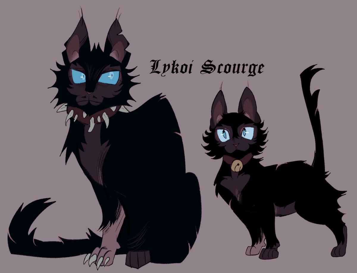 redwoodrot's tweet image. 