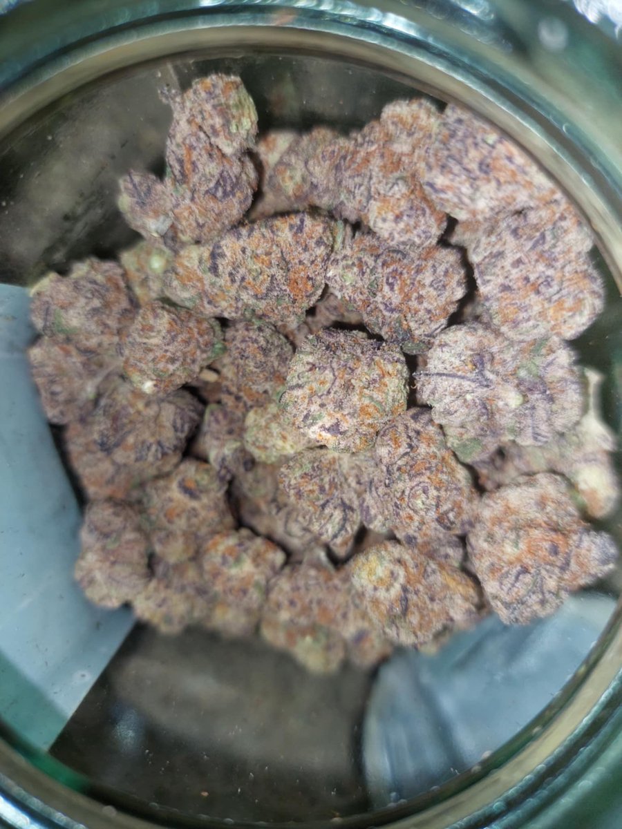 nakorn_cannabiz's tweet photo. สนใจดอกงานไทย indoor exotic ทักได้ครับ มกรุงเทพ ส่งฟรี รังสิตค่าส่งตามระยะทาง กทม.ส่ง Grab Boat ได้ https://t.co/PgOi1AAd3U
#กทม #รังสิต #บางกะปิ #บางแสน #รามคำแหง #กัญชา #กัญชารังสิต #มกรุงเทพ #มอรังสิต  #เมืองเอก #ดอนเมือง #สายไหม #ดินแดง #จตุจักร #ลาดพร้าว #มทว #วงสว่าง11 https://t.co/t1C6diPe2i