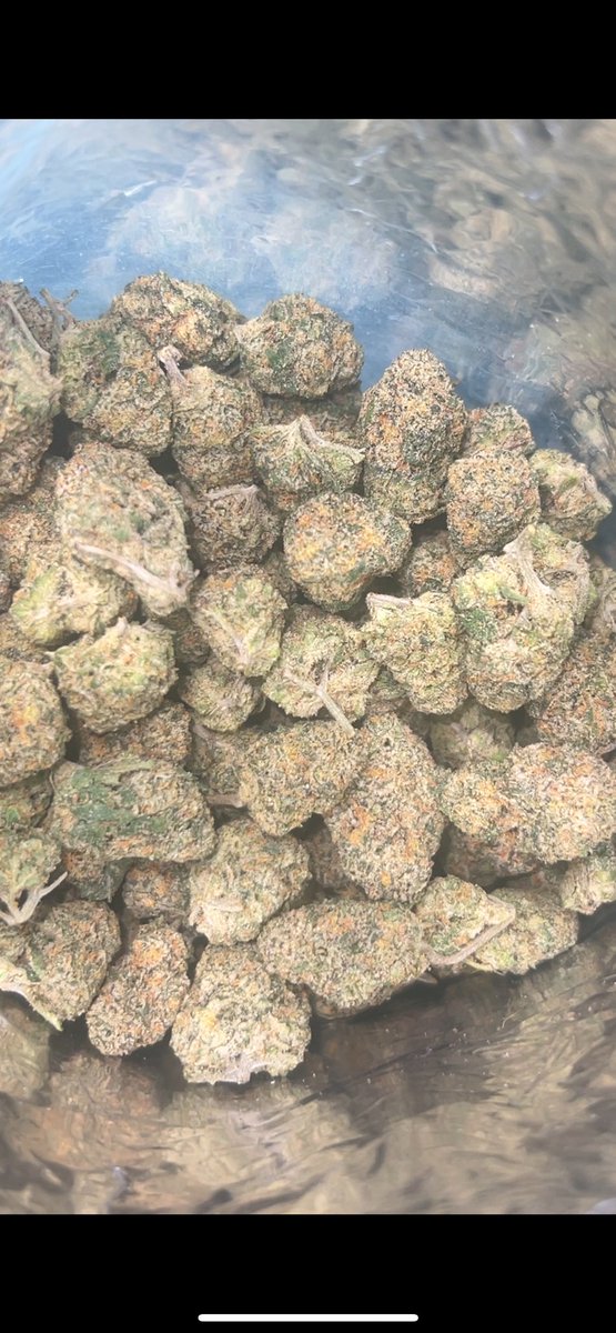 nakorn_cannabiz's tweet photo. สนใจดอกงานไทย indoor exotic ทักได้ครับ มกรุงเทพ ส่งฟรี รังสิตค่าส่งตามระยะทาง กทม.ส่ง Grab Boat ได้ https://t.co/PgOi1AAd3U
#กทม #รังสิต #บางกะปิ #บางแสน #รามคำแหง #กัญชา #กัญชารังสิต #มกรุงเทพ #มอรังสิต  #เมืองเอก #ดอนเมือง #สายไหม #ดินแดง #จตุจักร #ลาดพร้าว #มทว #วงสว่าง11 https://t.co/t1C6diPe2i