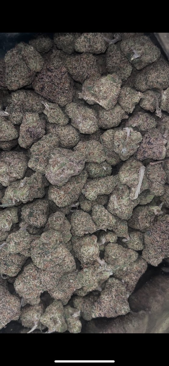 nakorn_cannabiz's tweet photo. สนใจดอกงานไทย indoor exotic ทักได้ครับ มกรุงเทพ ส่งฟรี รังสิตค่าส่งตามระยะทาง กทม.ส่ง Grab Boat ได้ https://t.co/PgOi1AAd3U
#กทม #รังสิต #บางกะปิ #บางแสน #รามคำแหง #กัญชา #กัญชารังสิต #มกรุงเทพ #มอรังสิต  #เมืองเอก #ดอนเมือง #สายไหม #ดินแดง #จตุจักร #ลาดพร้าว #มทว #วงสว่าง11 https://t.co/t1C6diPe2i