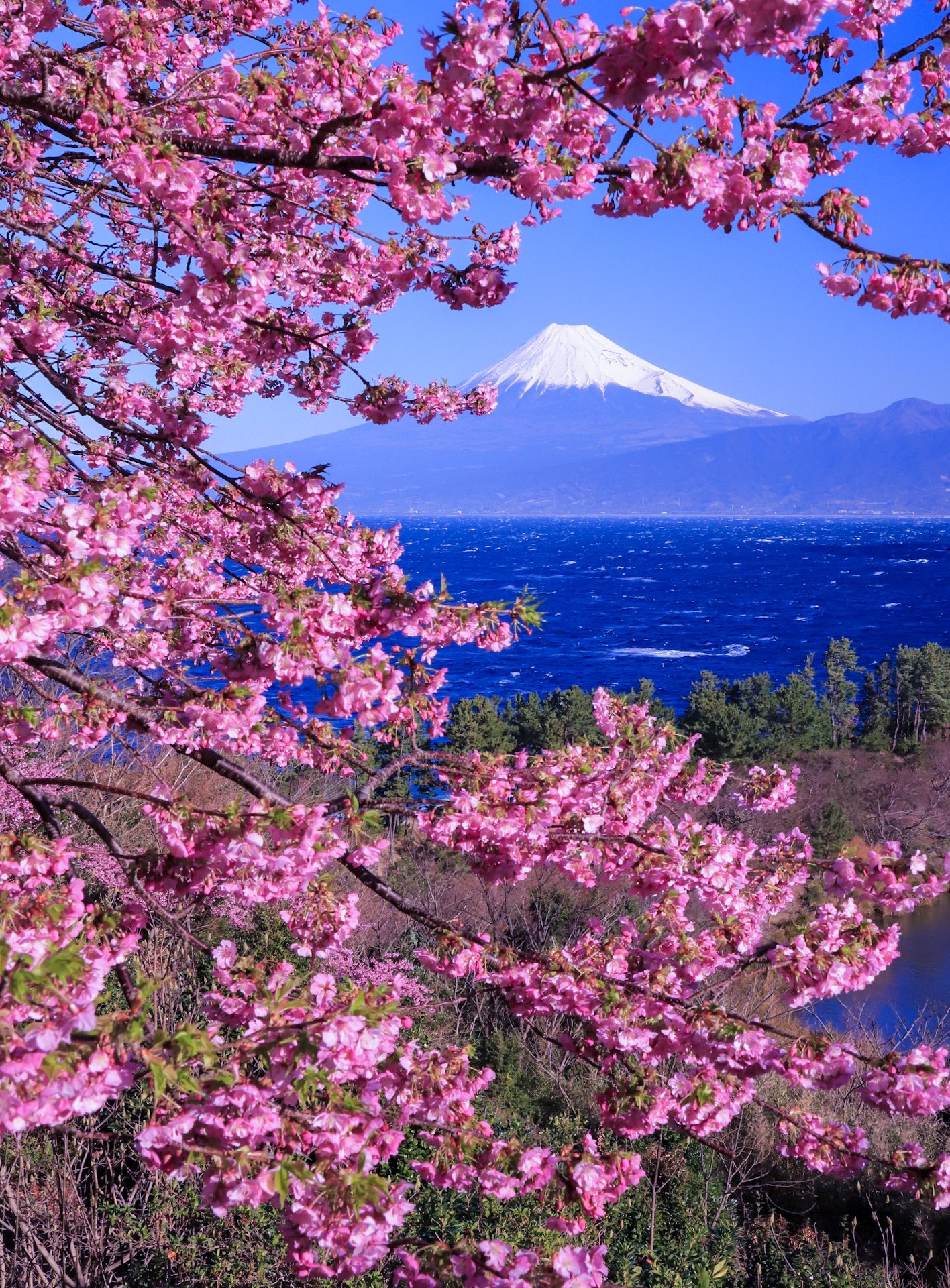 Satoshiの絶景 富士山✨🗻✨✨✨ on X: 