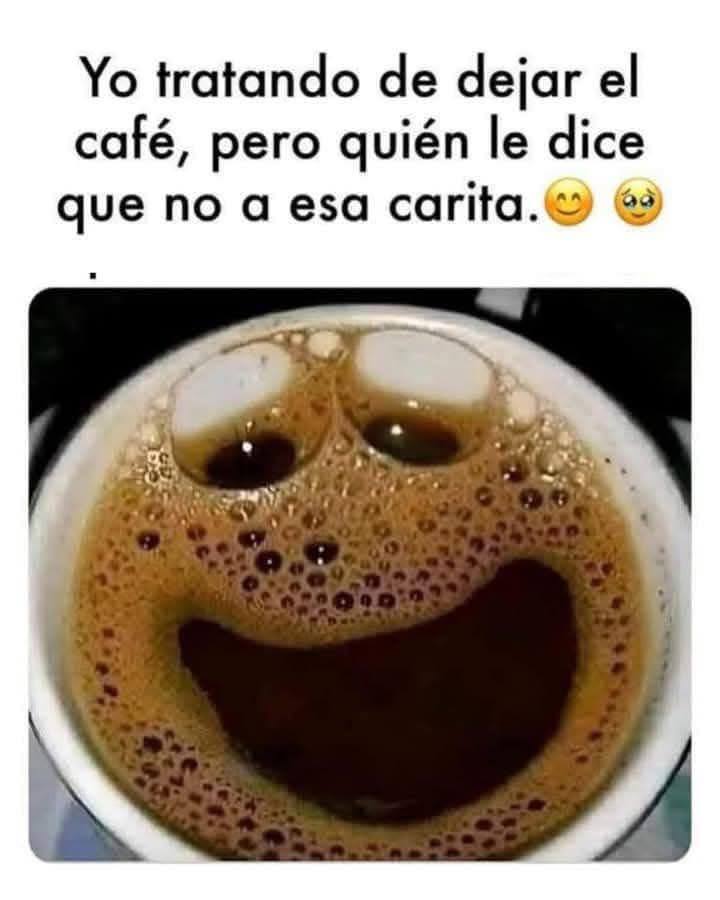 AlfredoMayfer63's tweet image. 😌