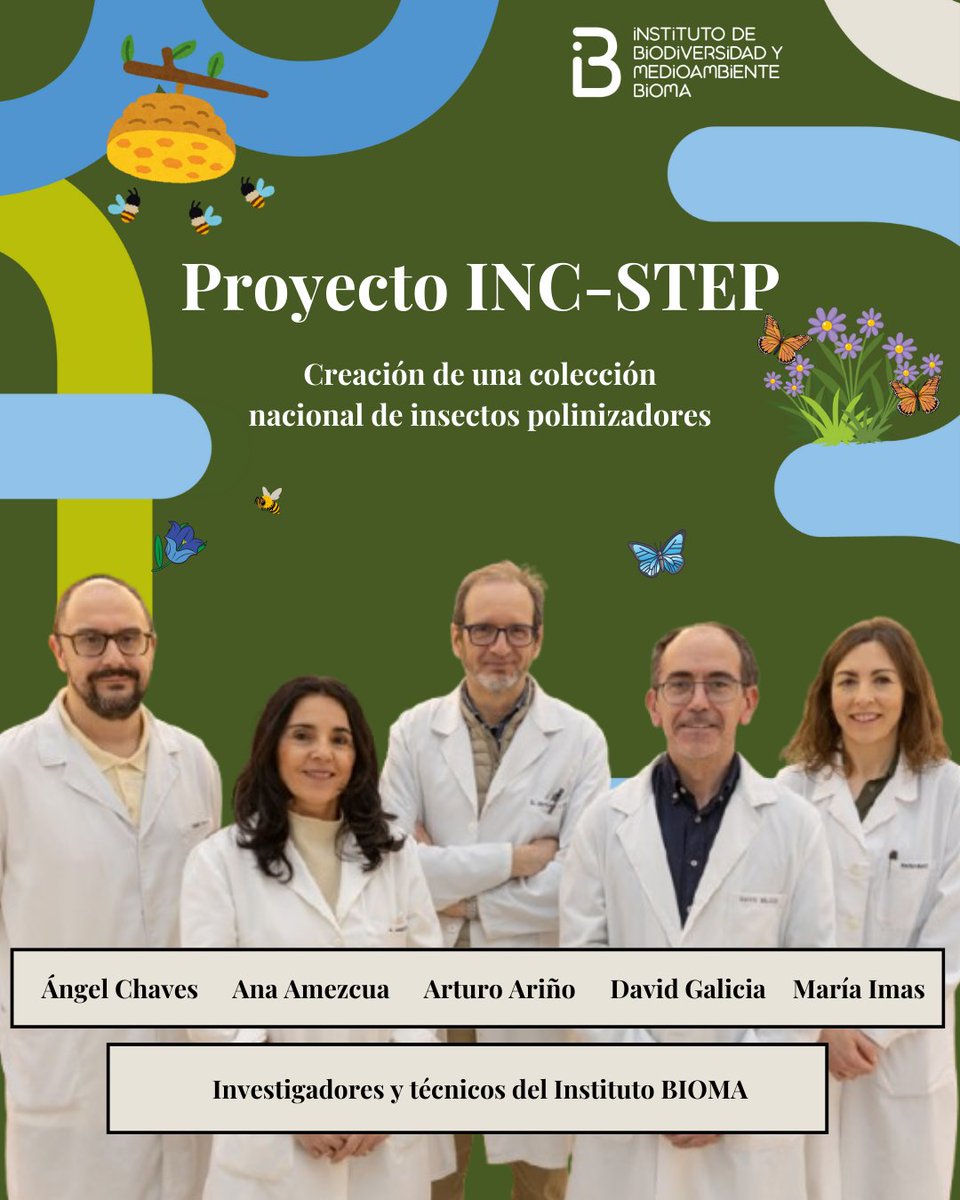 🐝 El Instituto BIOMA colabora en el desarrollo del proyecto <a href="/INCSTEP_EU/">INC-STEP</a>, cuyo objetivo principal es crear una gran colección de referencia a nivel nacional de insectos polinizadores.

🔗 unav.edu/noticias/-/con…