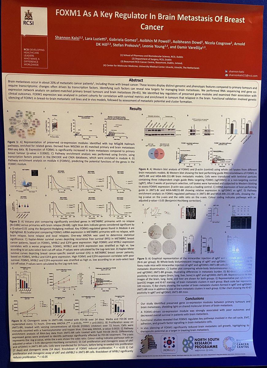 All-Island Cancer Research Institute (AICRI) (@alcriproject) on Twitter photo Congratulations to #AICRIstart PhD Shannon Kalsi for being shortlisted for her poster presentation at #IACR2025!
<a href="/KalsiShannon/">_Shannon_Kalsi_</a> research on FOXM1 as a key regulator in brain metastasis of breast cancer has been supervised by Prof Leonie Young and <a href="/damirvareslija/">Damir Varešlija</a> <a href="/RCSI_Irl/">RCSI</a> Congratulations to #AICRIstart PhD Shannon Kalsi for being shortlisted for her poster presentation at #IACR2025!
<a href="/KalsiShannon/">_Shannon_Kalsi_</a> research on FOXM1 as a key regulator in brain metastasis of breast cancer has been supervised by Prof Leonie Young and <a href="/damirvareslija/">Damir Varešlija</a> <a href="/RCSI_Irl/">RCSI</a>