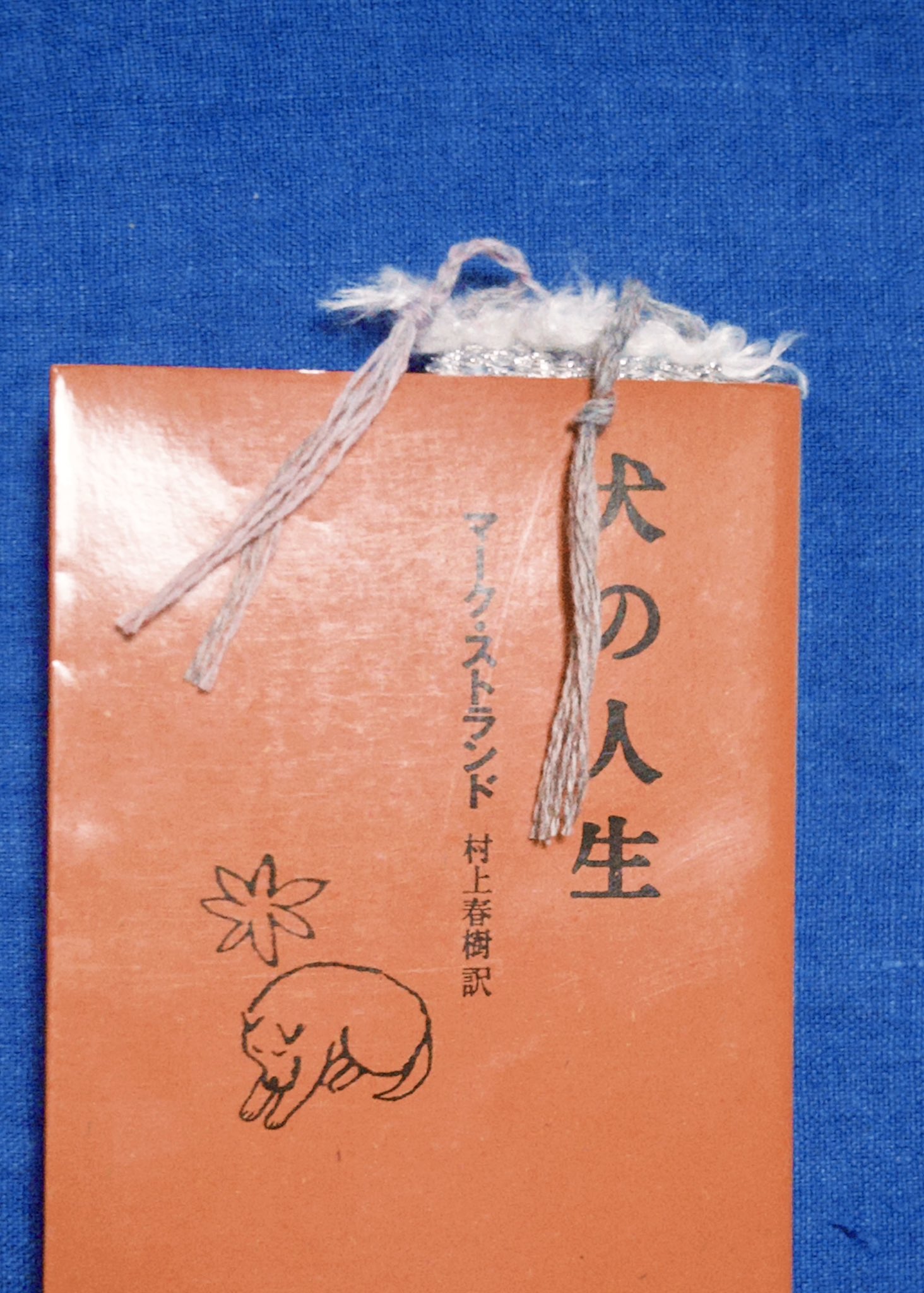 工藤 千紘/Chihiro Kudo (@Tranfagarasan) / X