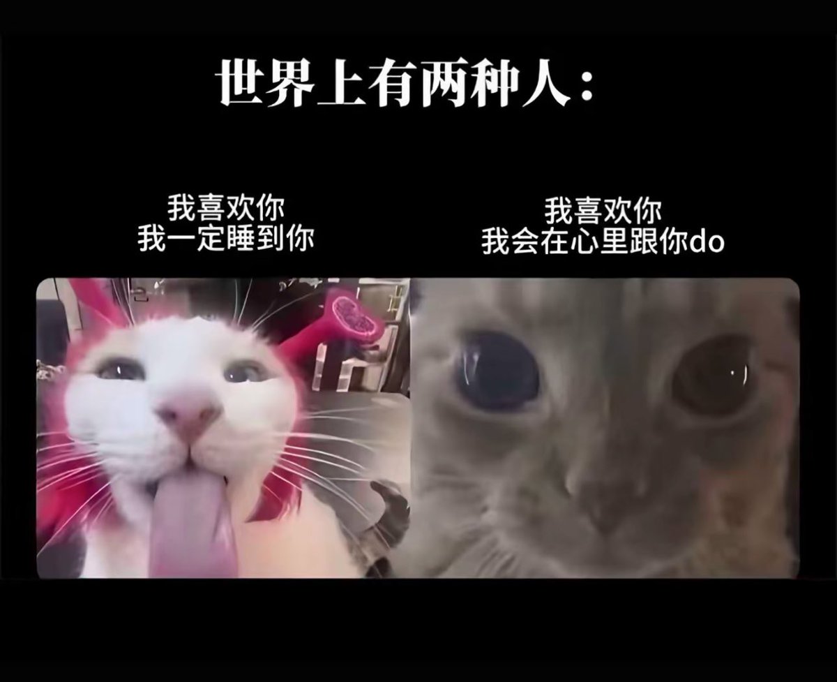 恋 (@hgds01) on Twitter photo 