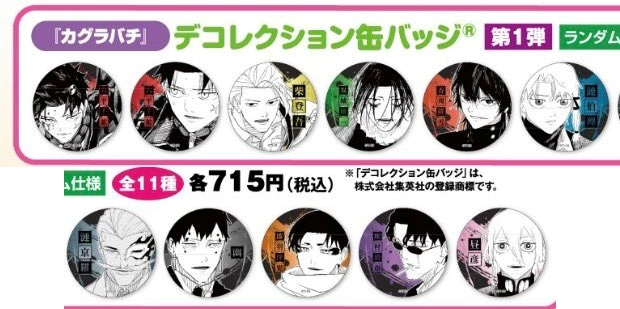 カグラバチ 缶バッジ 10点セット グッズ-バッチ】カグラバチ トレーディング缶バッジ | アニメイト