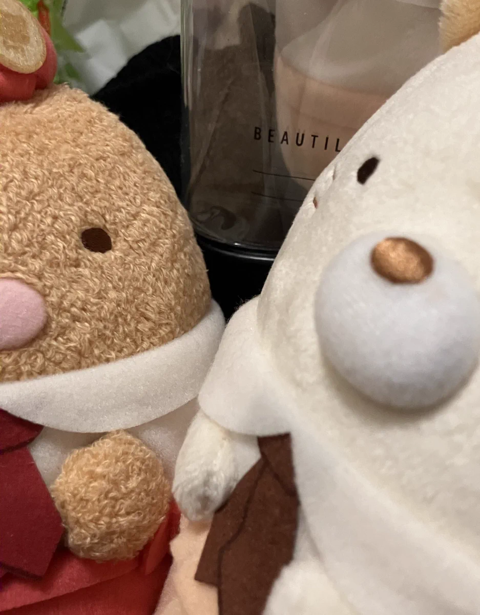 すみっコぐらし　進化　受注　ぬいぐるみ　ビッグ すみっコぐらし【公式】 on X: 