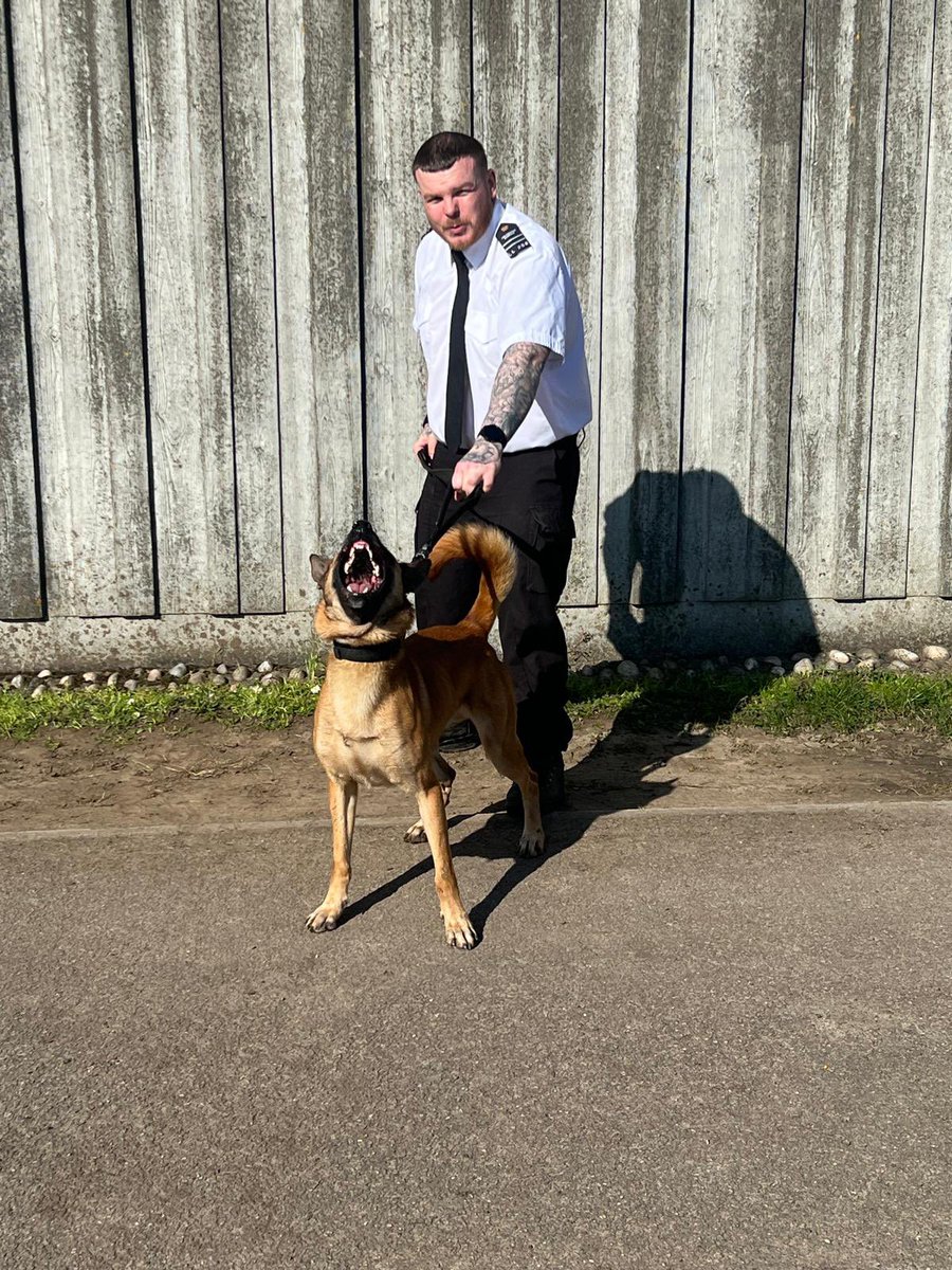 HMPPS Operational Dogs tweet media
