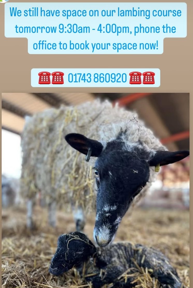 Last minute space on our lambing course tomorrow 9:30am - 4:00pm, phone the office to book your space now!