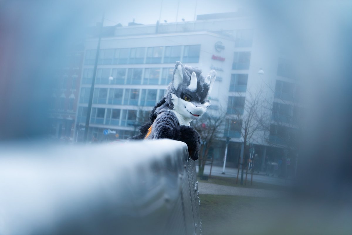 He knows you're staring. 
Come closer~ 😈

📸: <a href="/f0x3r_fennec/">Blackbird</a> 
🪡: <a href="/99Daley/">99Daley</a> 
#FursuitFriday